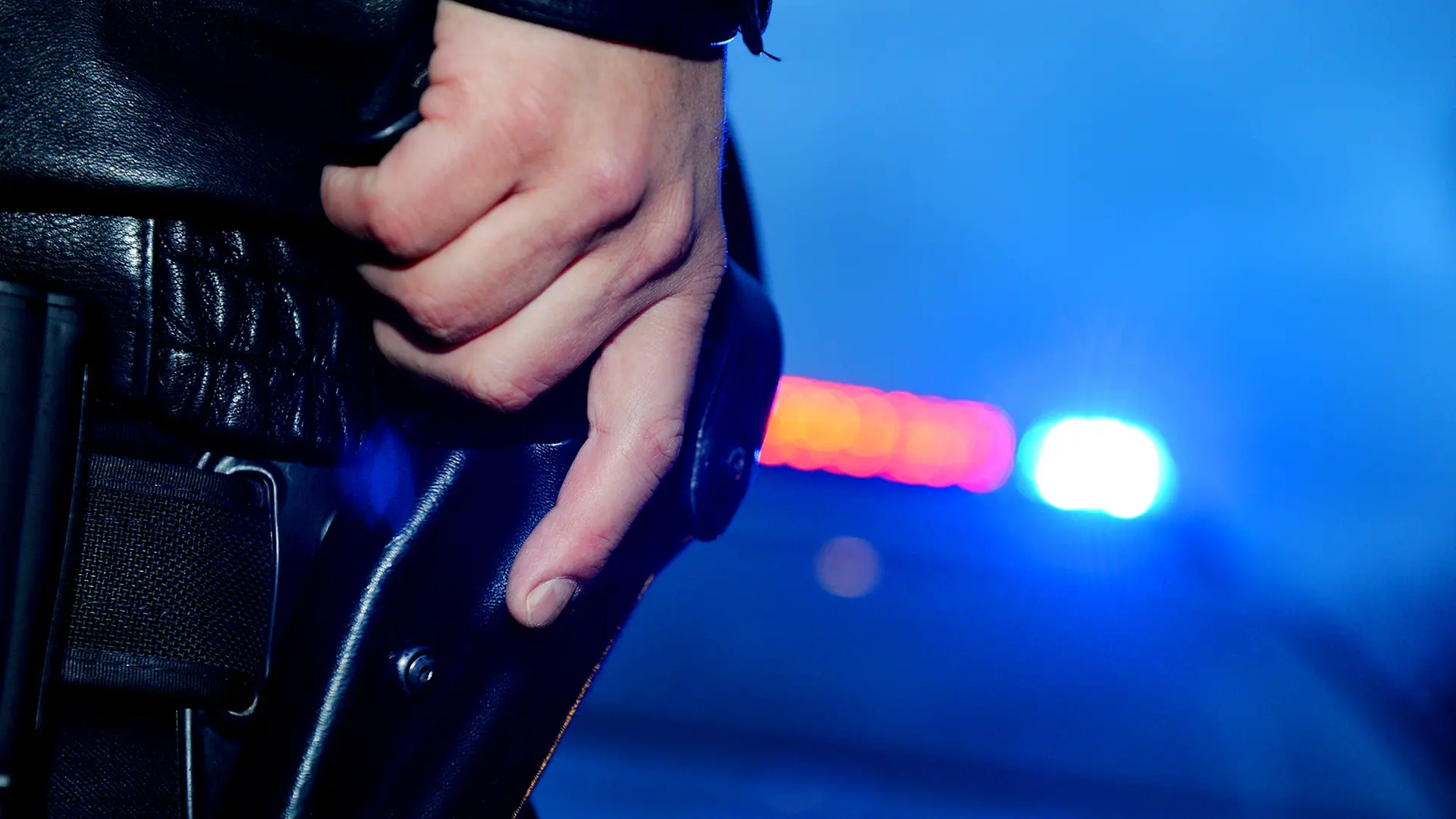 Mehr Schusswaffengebrauch bei der Polizei in SH | ndr.de