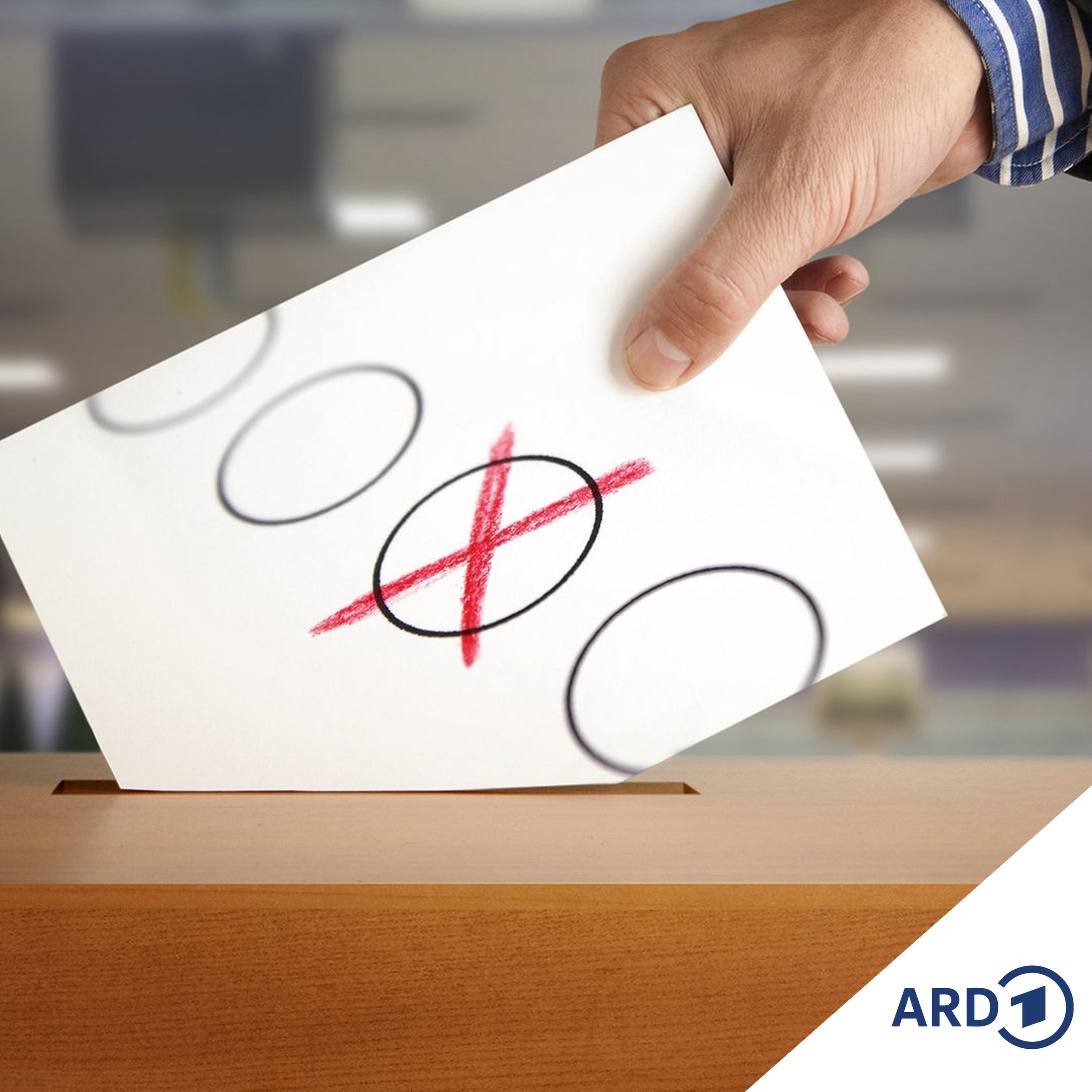 Parlamentswahl in den Niederlanden