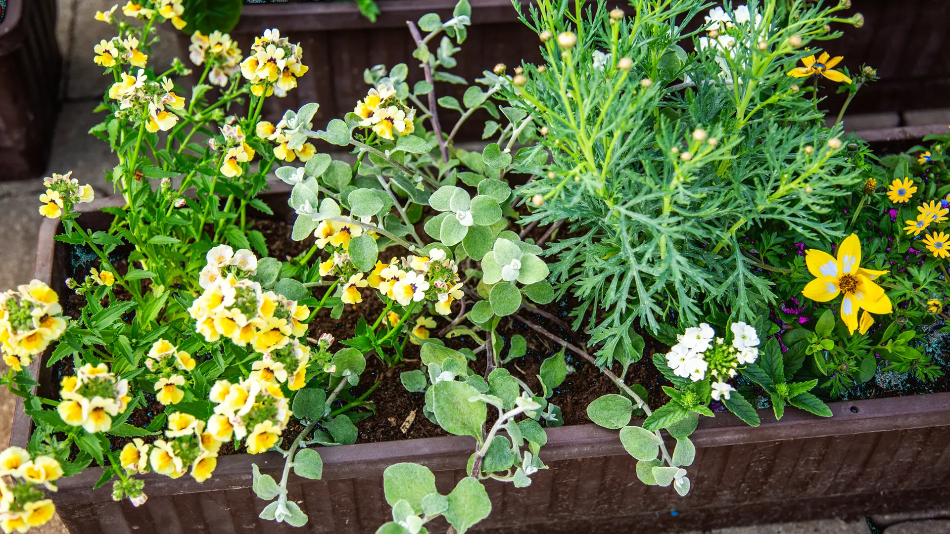 blumenkasten künstlich Kunstpflanzen | Künstlicher Blumenkasten - Toskana | Wie echt main image 0