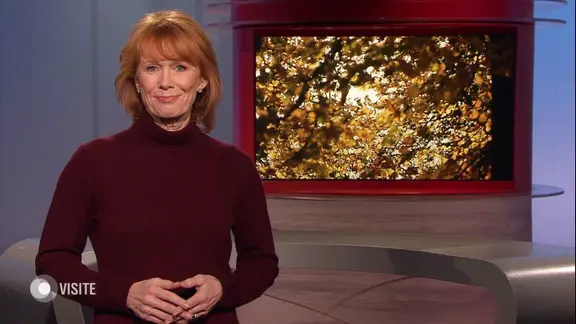 Vera Cordes moderiert "Visite".