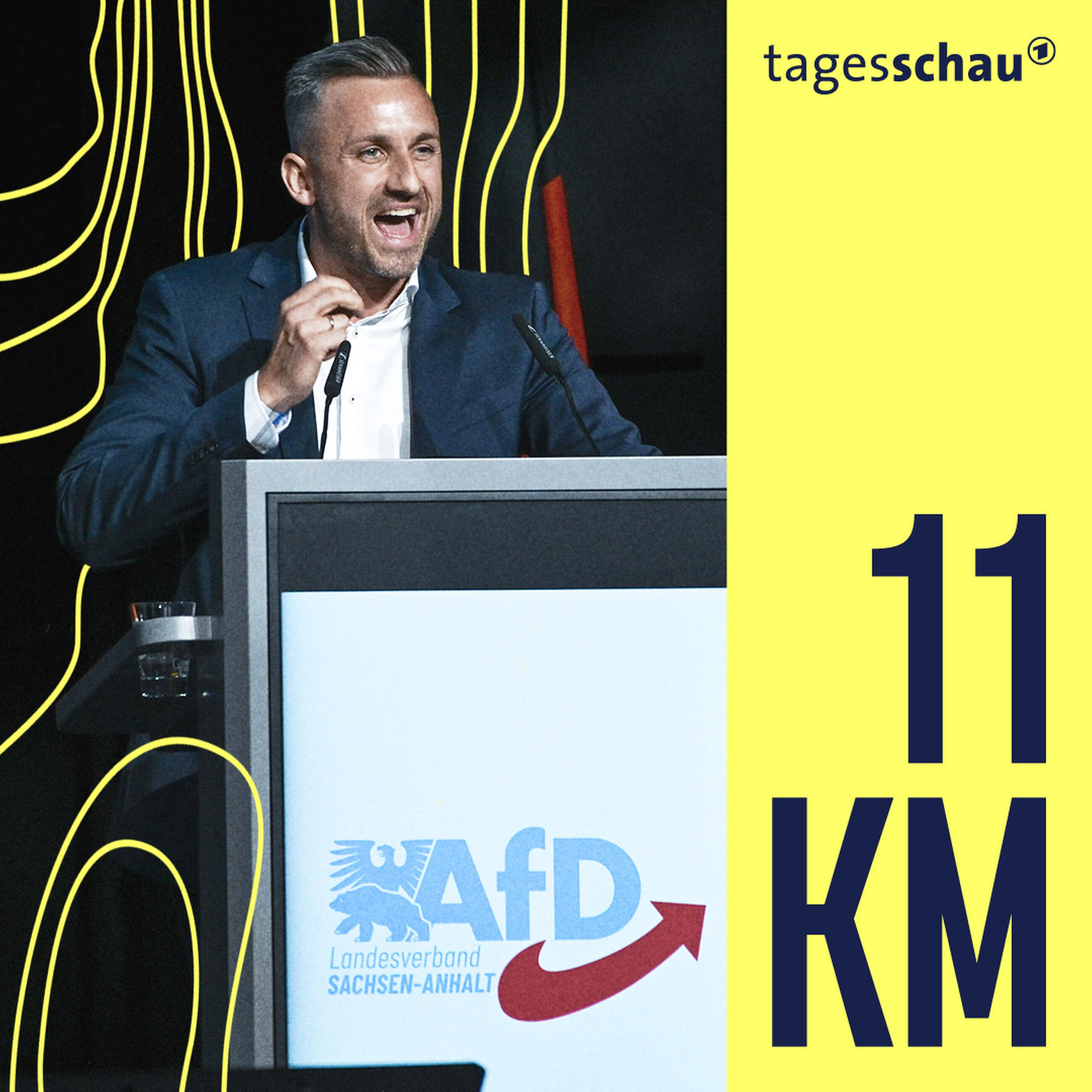 AfD: Was Ulrich Siegmund mit Sachsen-Anhalt vorhat