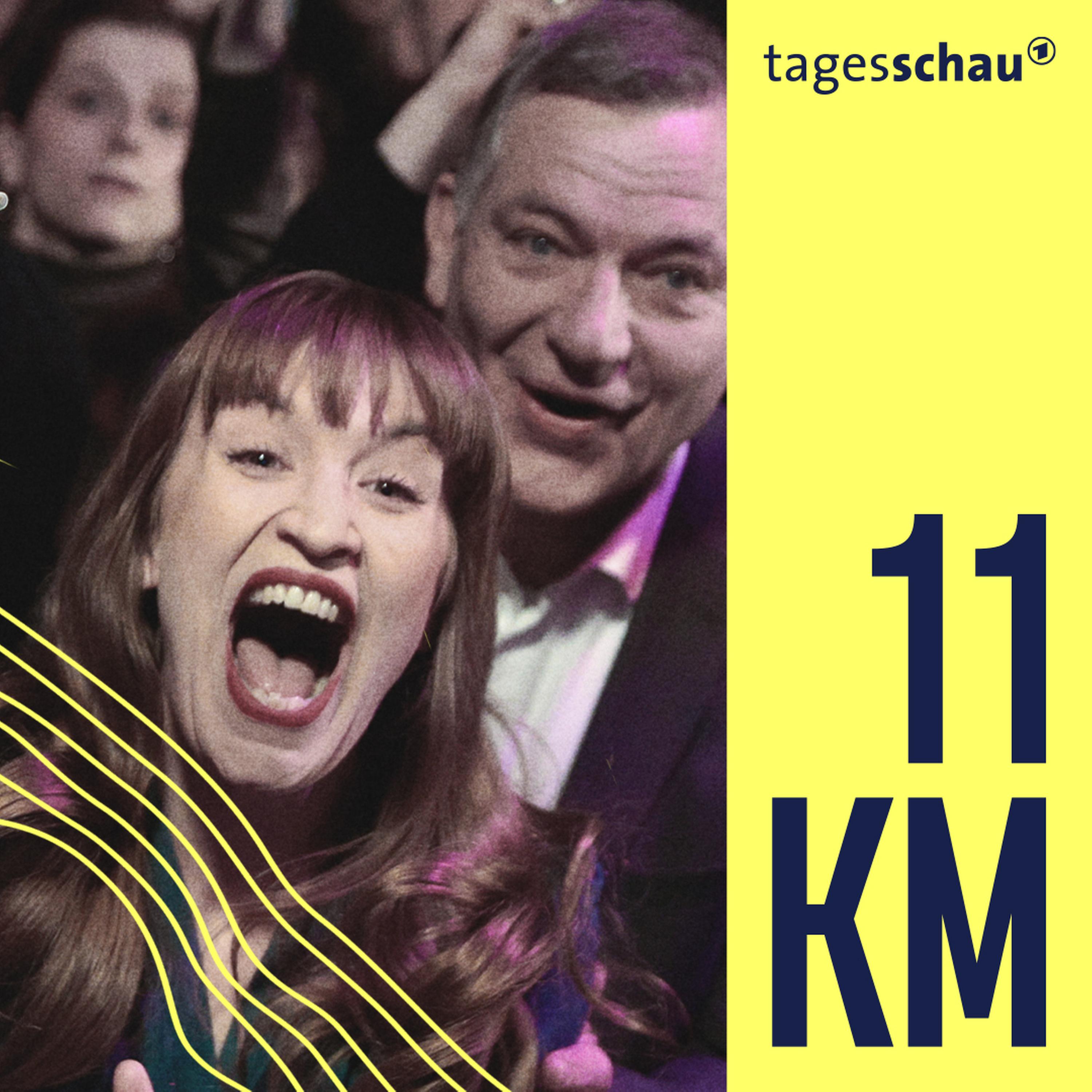 Die Linke: Auferstanden aus Ruinen?