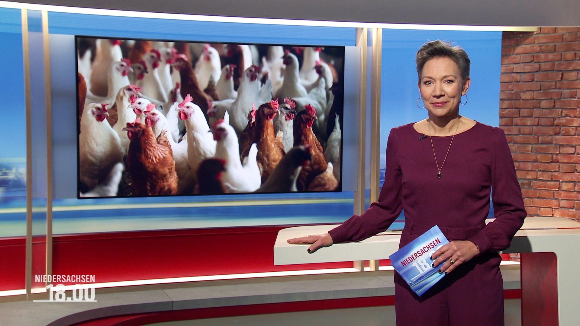 Christina von Saß moderiert. | Screenshot