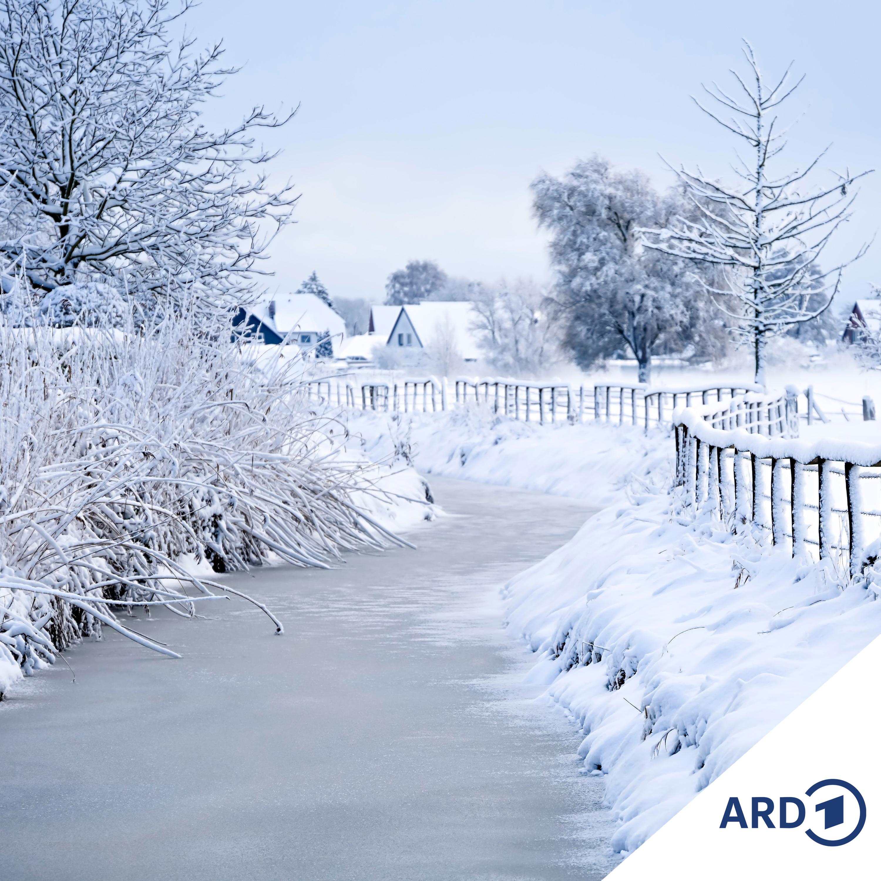 Extremes Winterwetter episode artwork