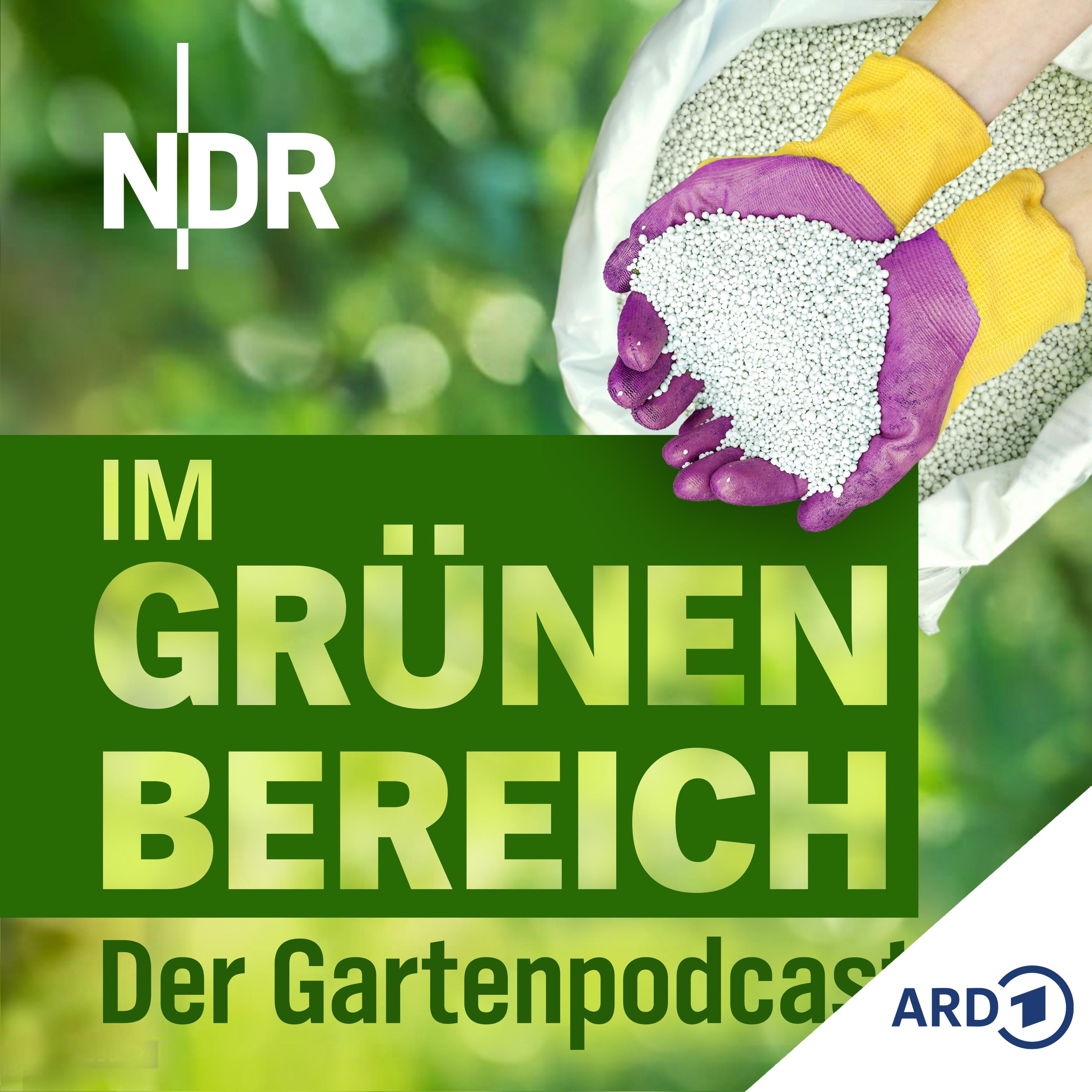 Play Richtig düngen: Tipps für gesunde Pflanzen