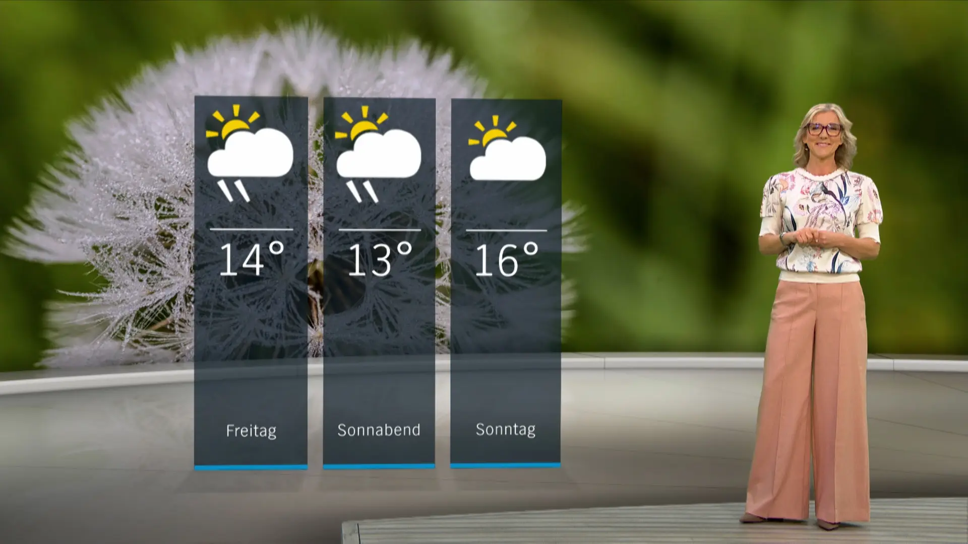 So wird das Wetter in Schleswig-Holstein