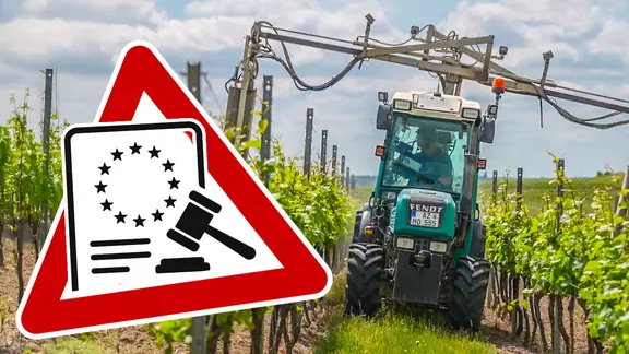 Ein Winzer sprüht Backpulver auf seine Weinreben. (extra 3 vom 19.06.2025 im Ersten) (Bild hat KI-generierte Elemente)