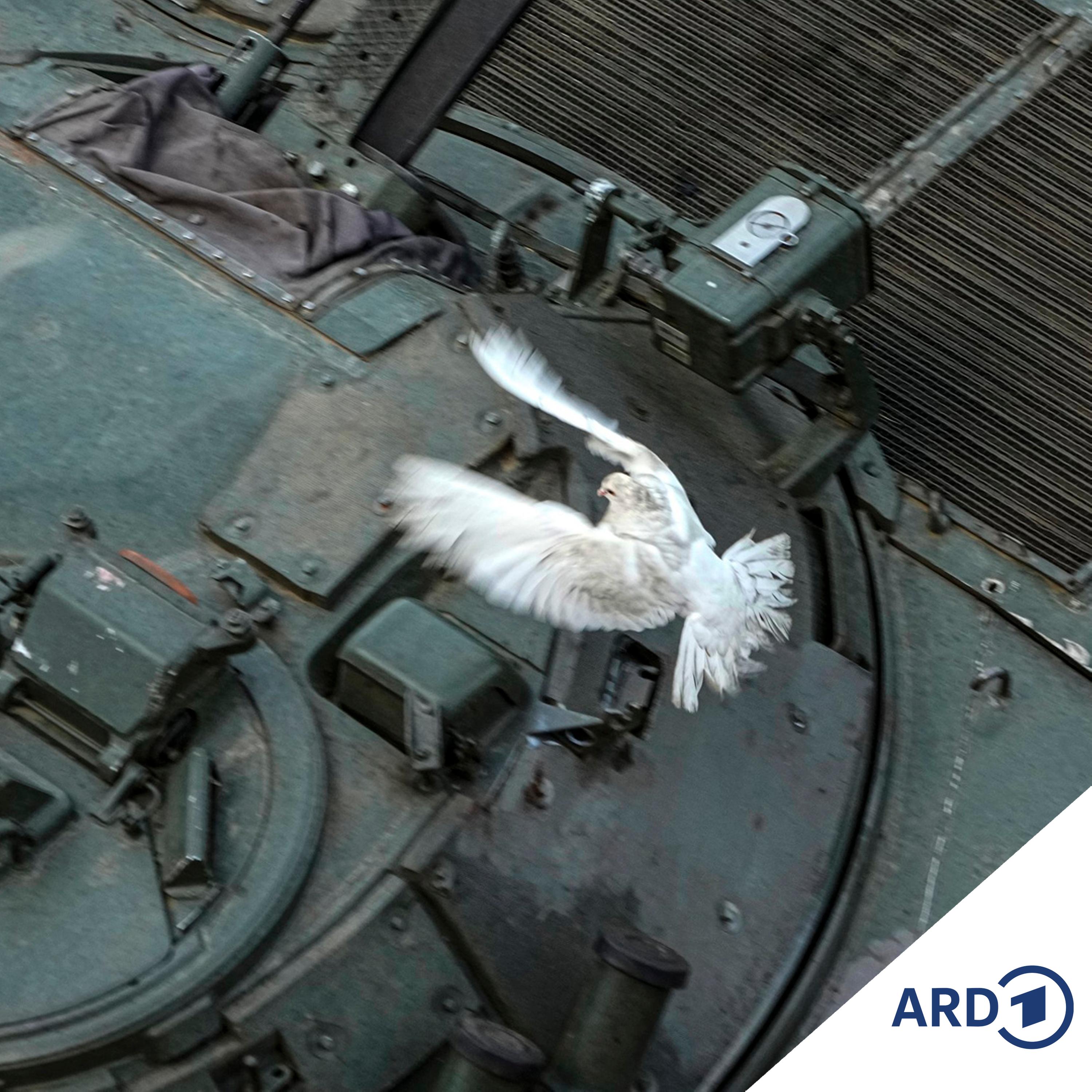 Ukraine-Verhandlungen: Was kann Deutschland tun?