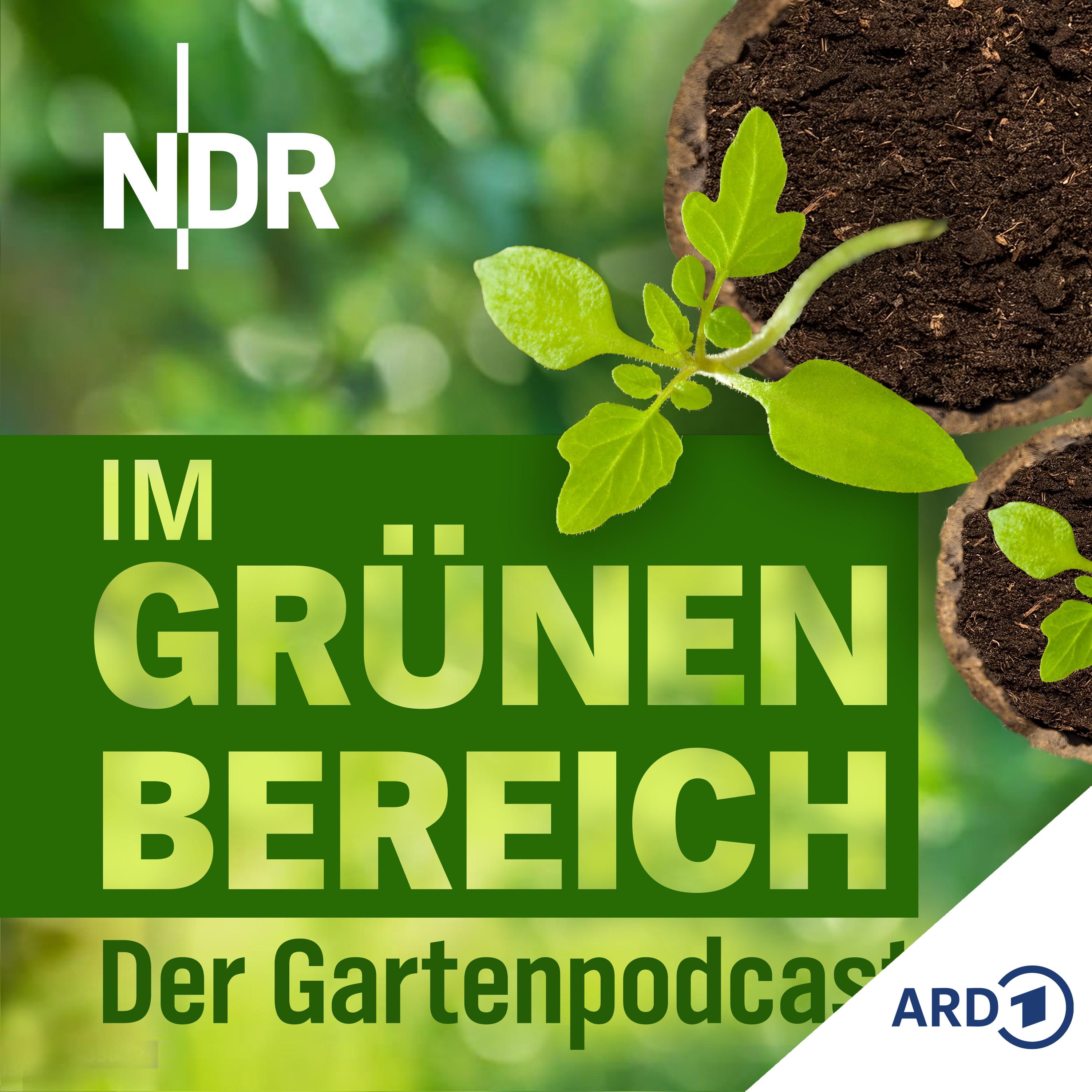Endlich aussäen: Diese sechs Gemüsearten klappen garantiert episode artwork