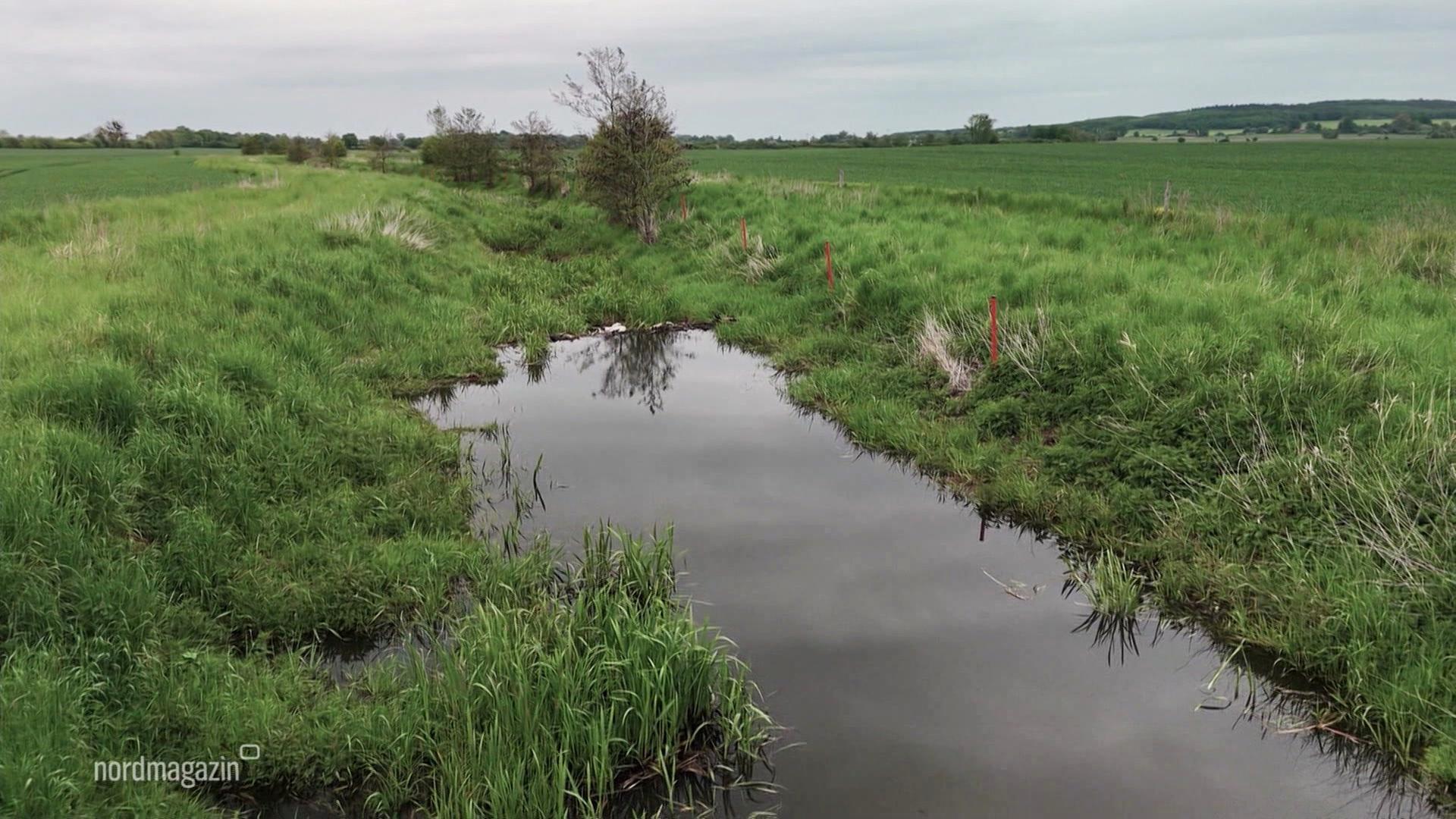 Schutz von Wasser und Boden: Herausforderung Renaturierung
