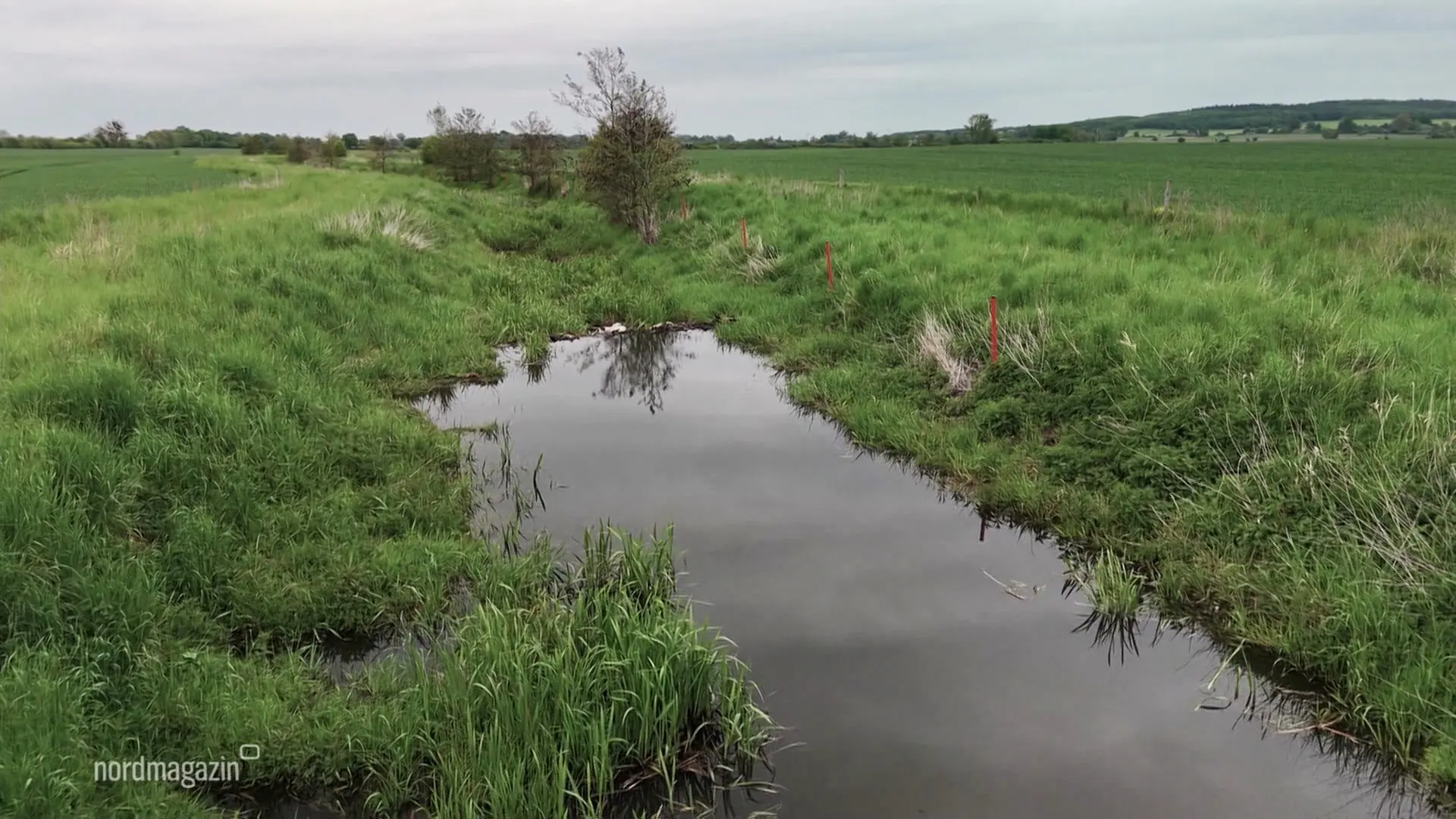 Schutz von Wasser und Boden: Herausforderung Renaturierung