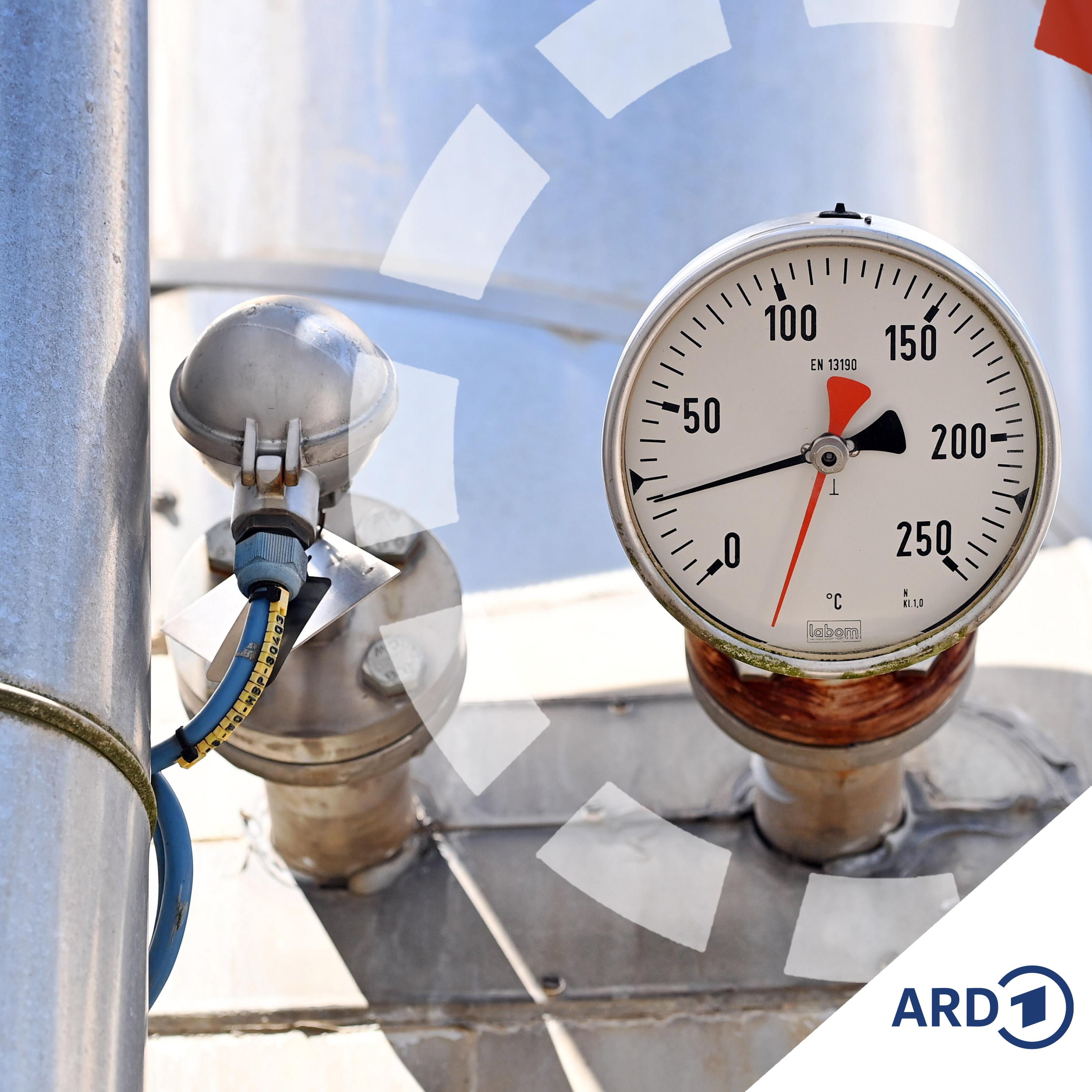 Gasspeicher unter 20%: reicht LNG als Rettung? episode artwork