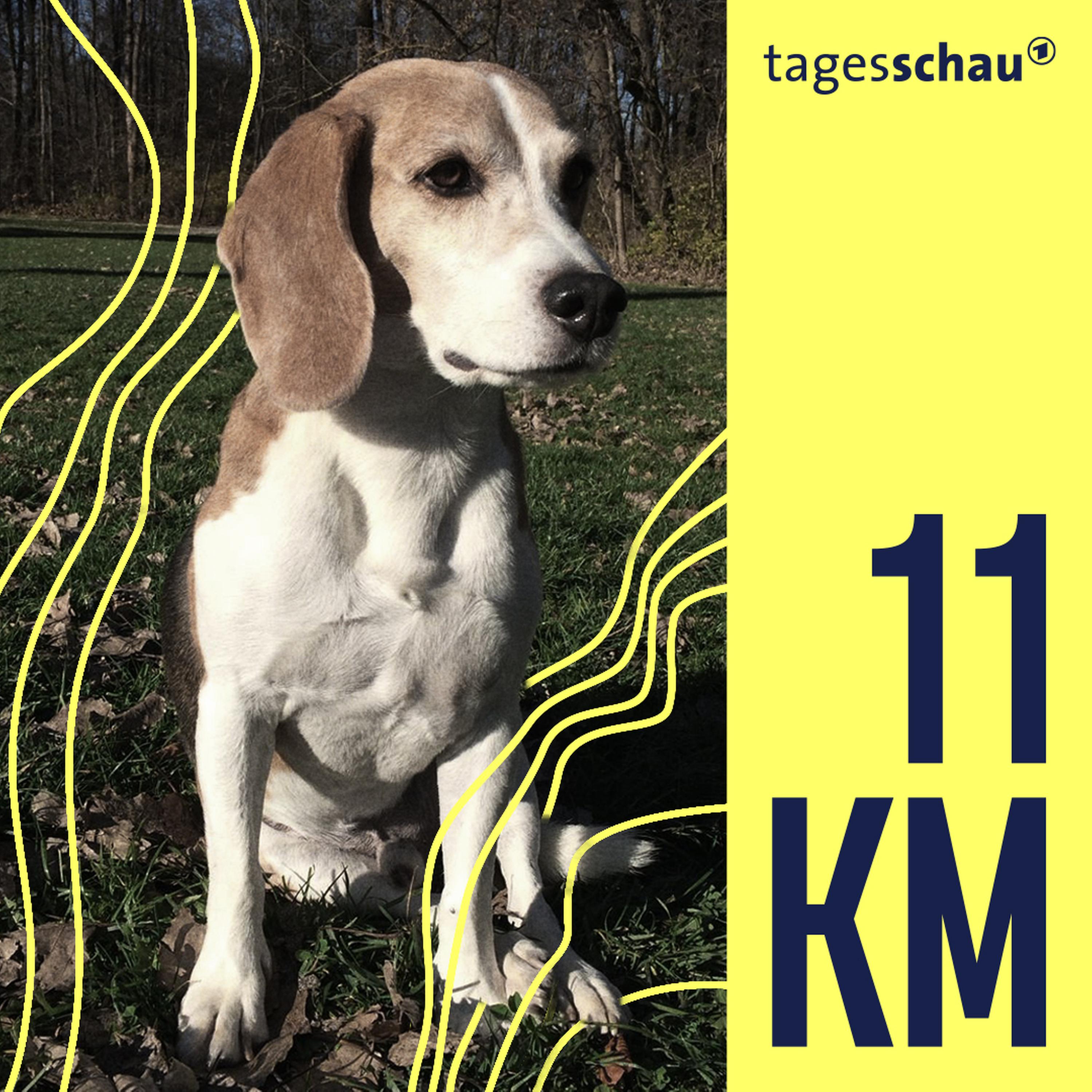 11KM: der tagesschau-Podcast