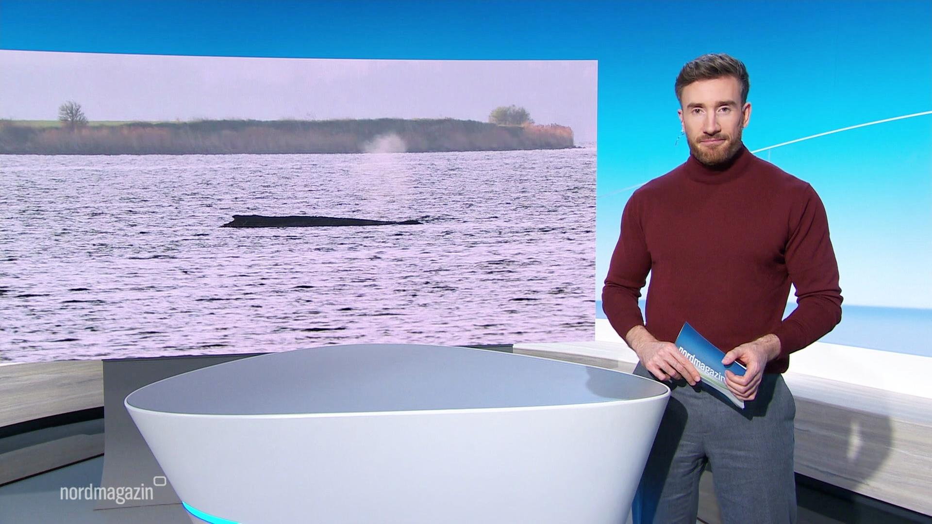 Nordmagazin - Land und Leute | 02.04.2026