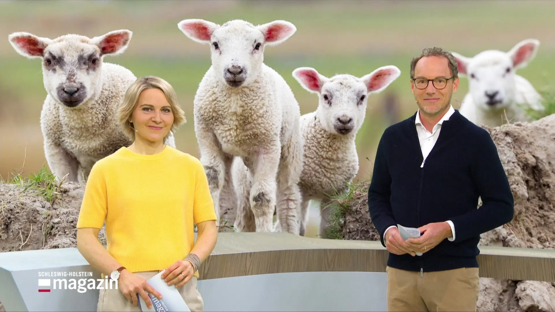 Schleswig-Holstein Magazin | 09.04.2026