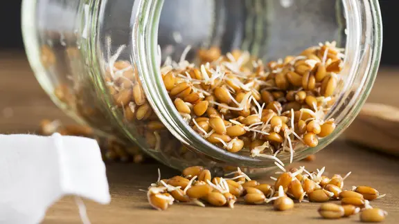 Sprossen und gesunde Microgreens ziehen: So geht's | ndr.de
