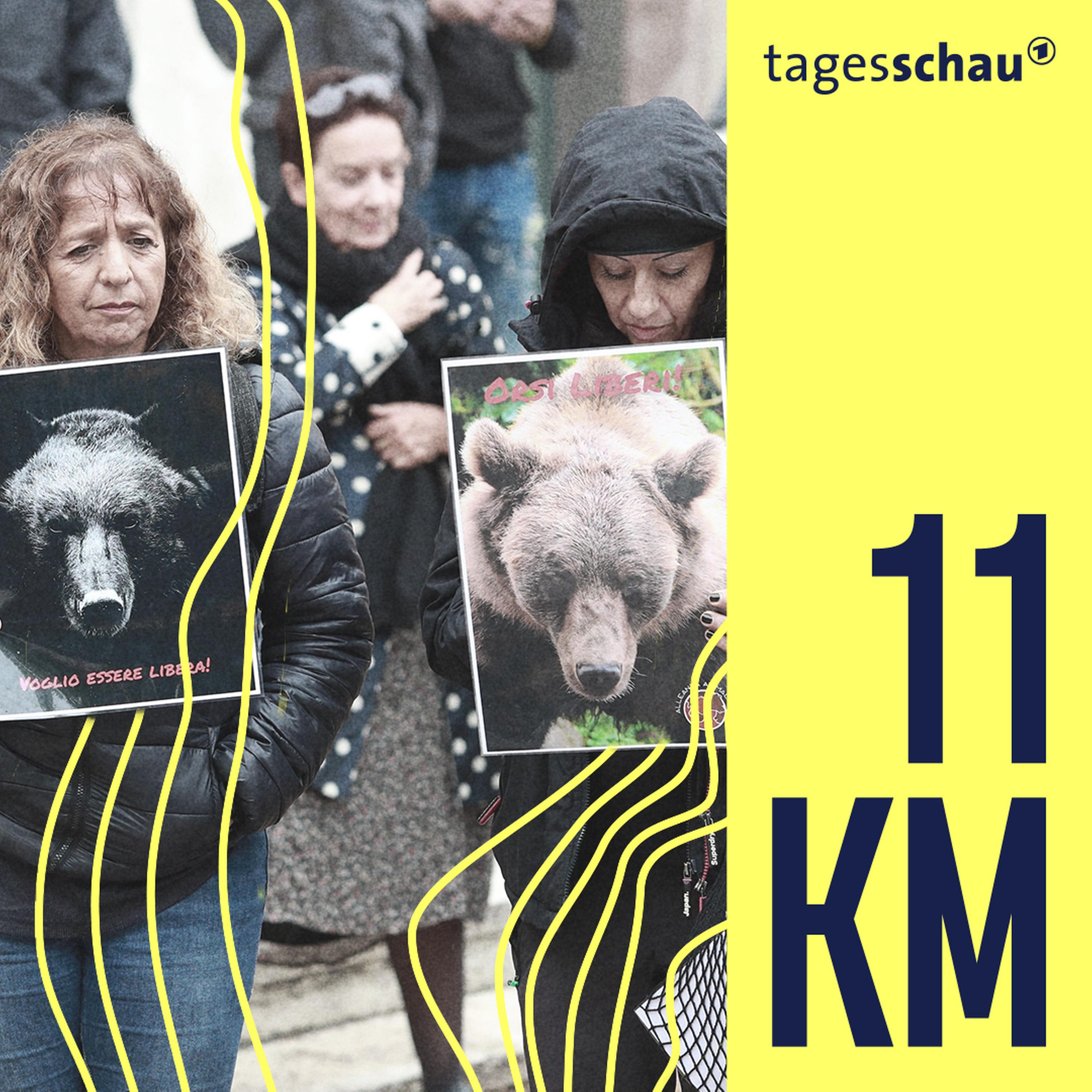11KM: der tagesschau-Podcast