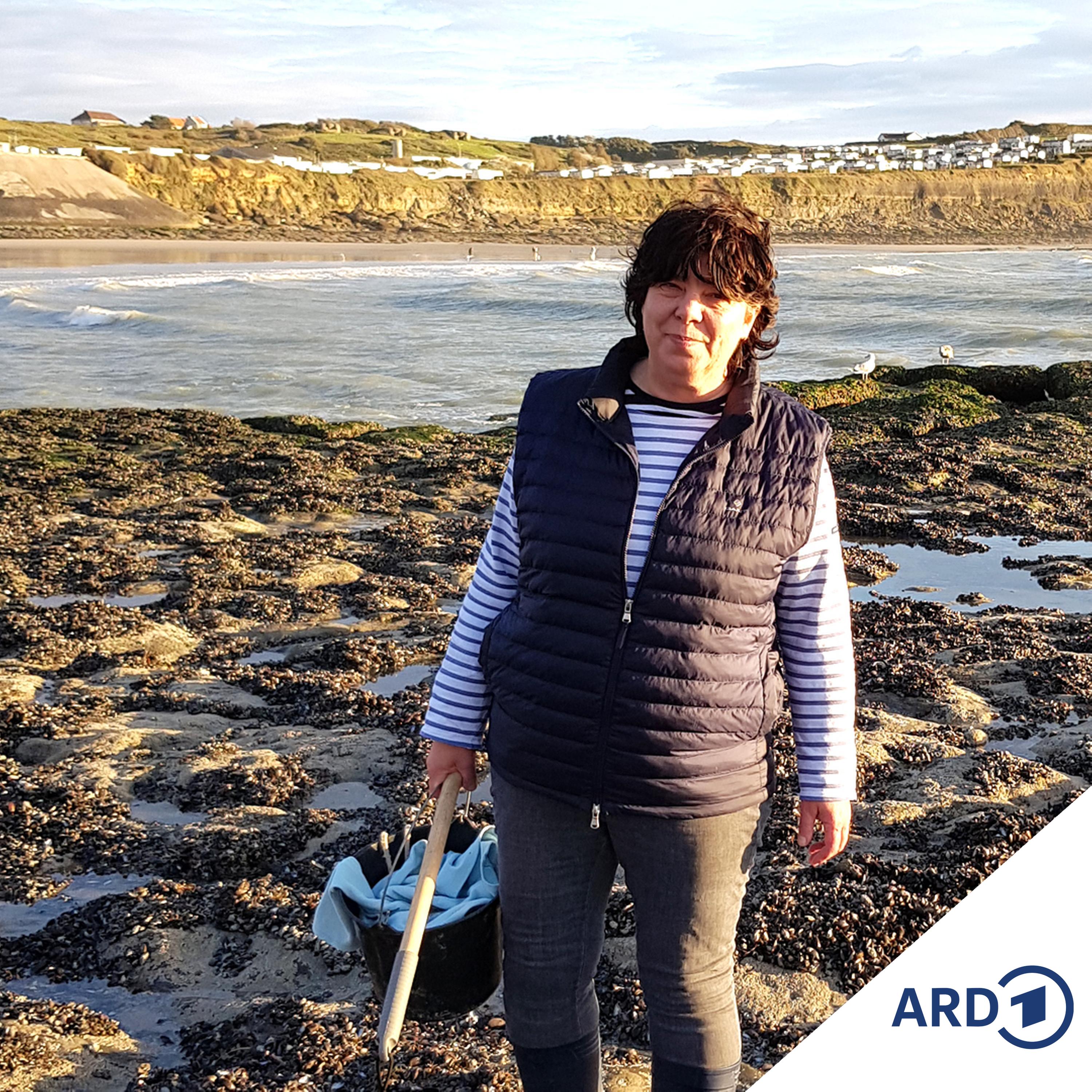 Zwischen Hamburg und Haiti