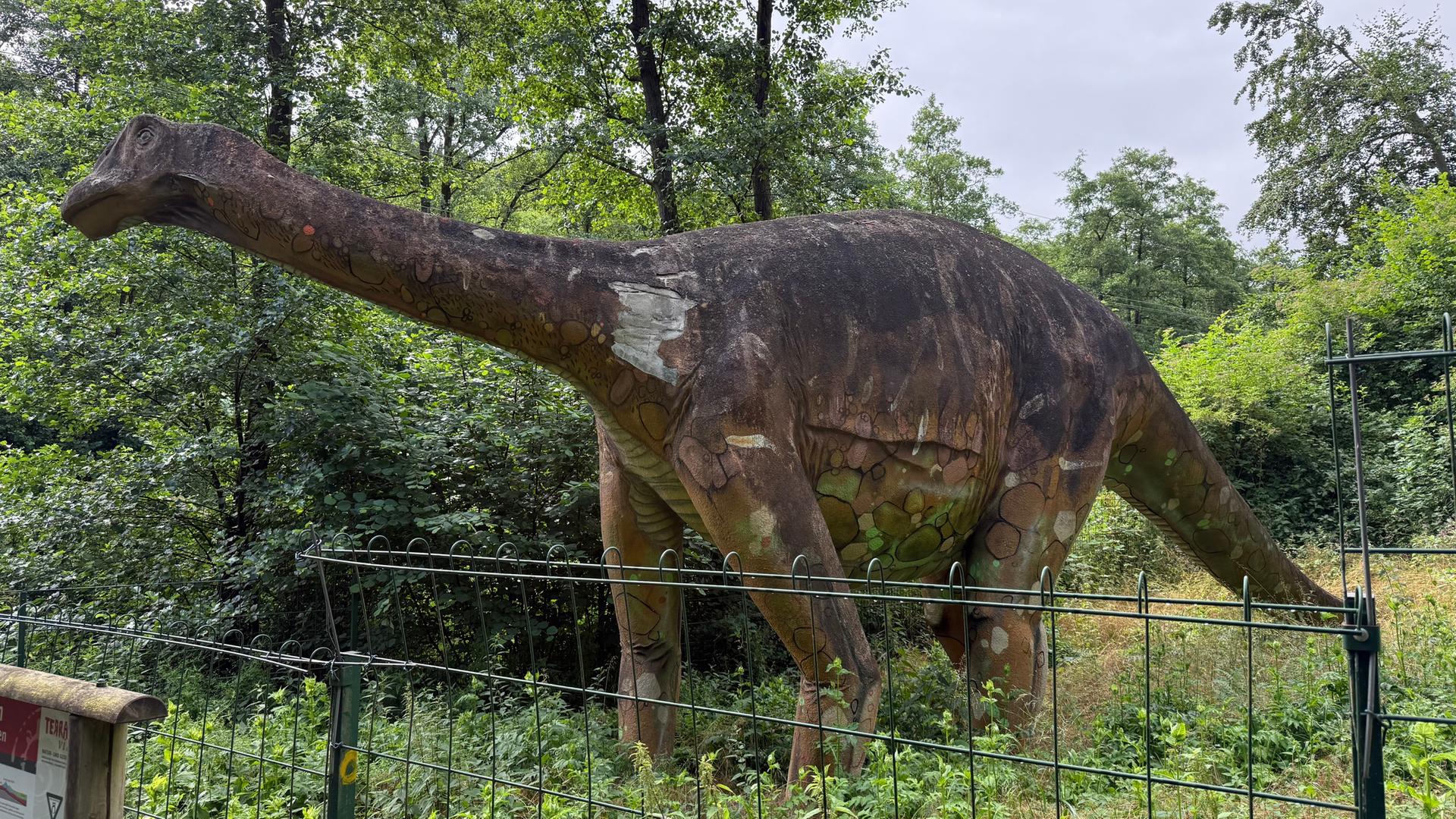 Eine Dinostatue im Geopark des Landkreis Osnabrück. | Finn Tönjes, NDR