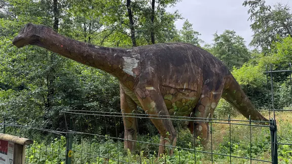 Fossile Zähne verraten: Küsten-Dinosaurier aßen Meerespflanzen