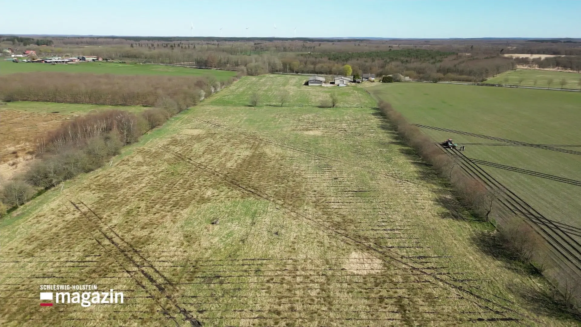 Erste Samenplantage für Schleswig-Holsteins Bäume