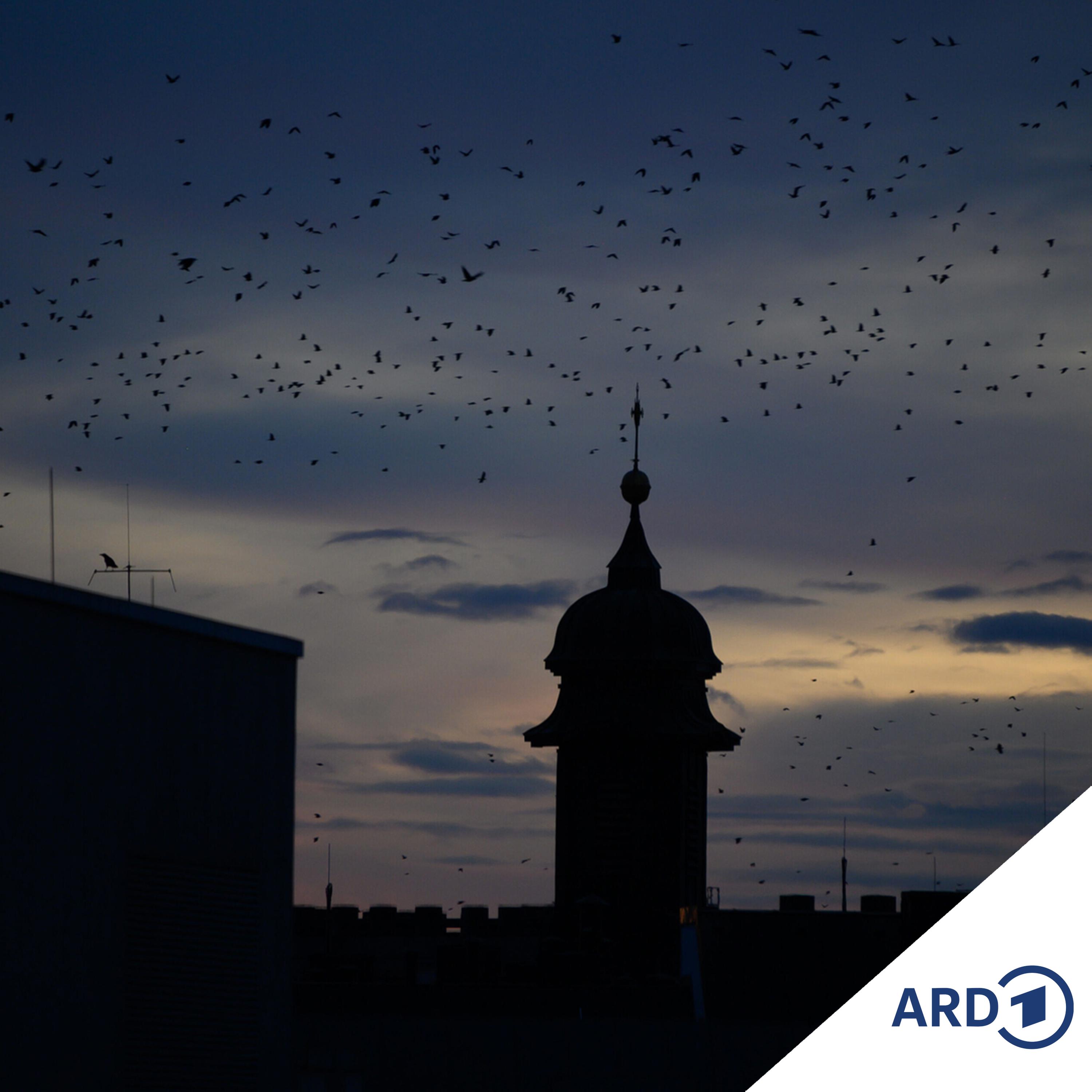 Nach der Stillen Nacht die Raunächte - Über Zeiten zwischen den Jahren