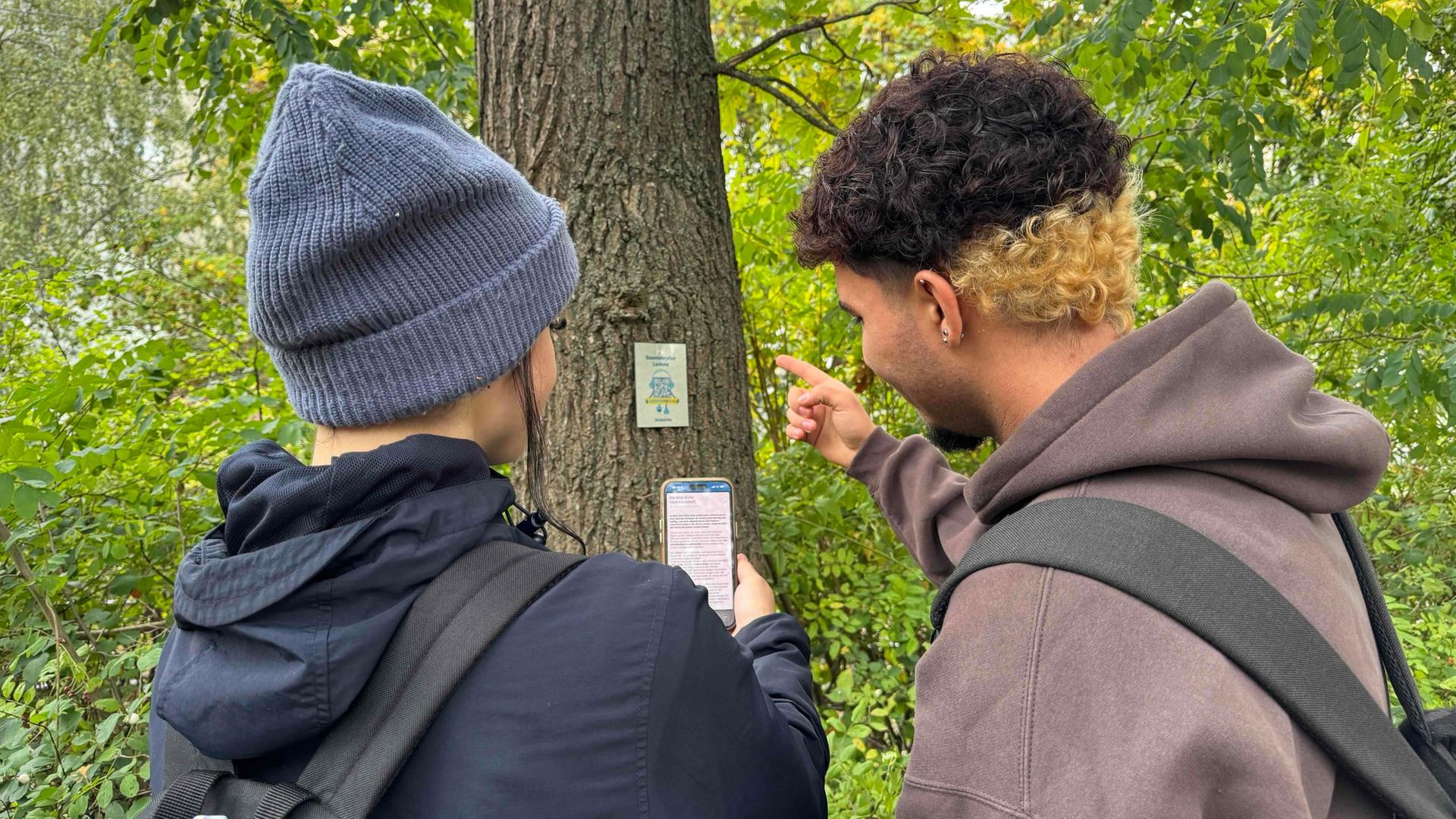 Schwerin: Bäume scannen mit dem Smartphone