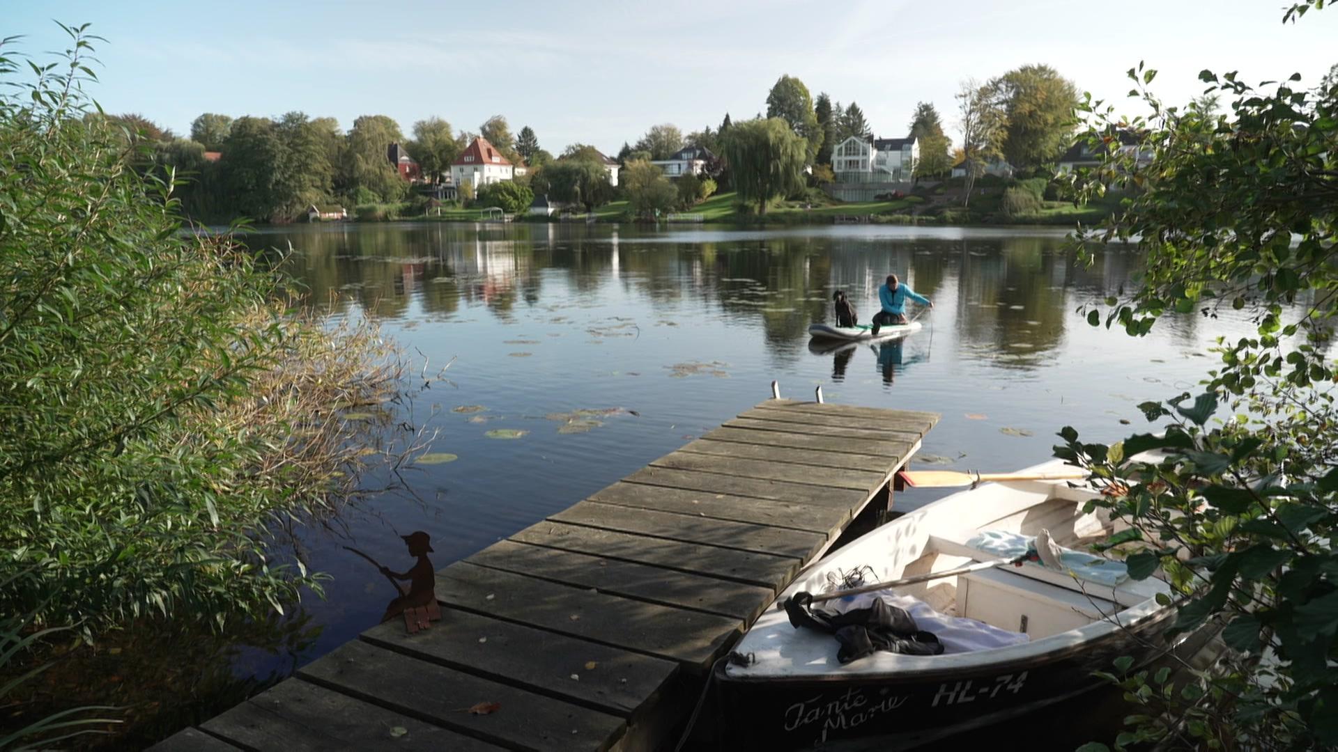 Lübeck und die Wasserpest: Herbst macht Problem nur unsichtbar