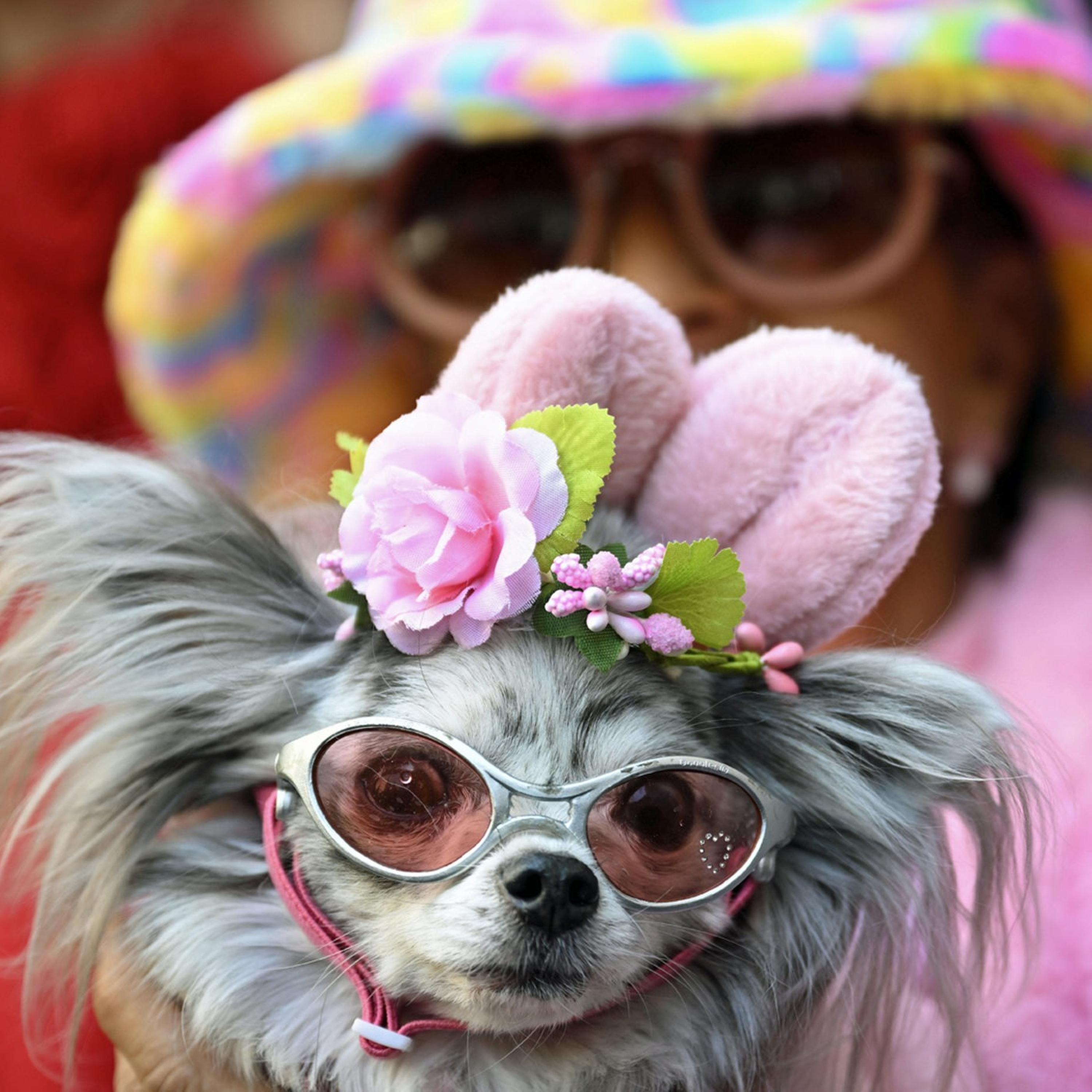 Synapsen – ein Wissenschaftspodcast