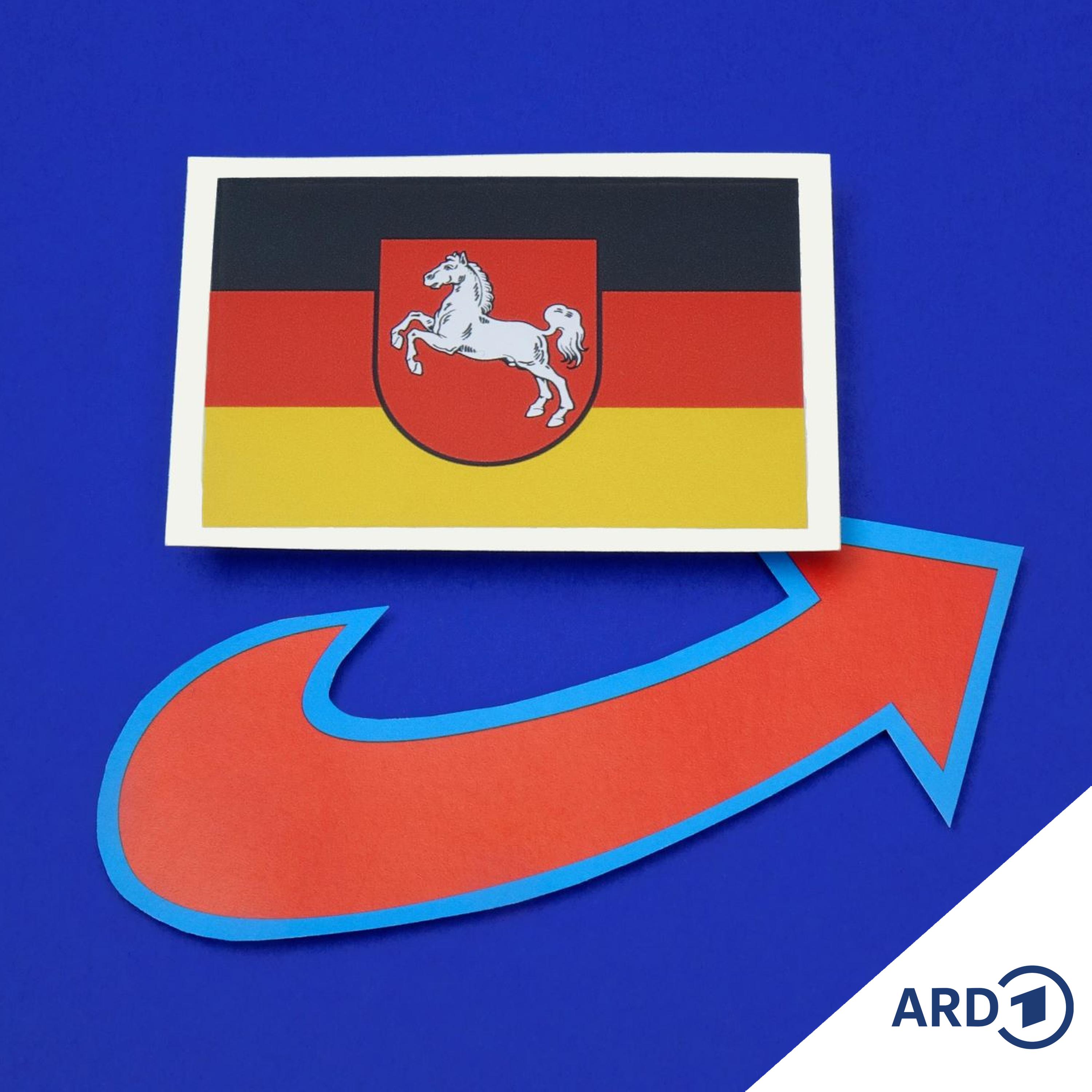 AfD in Niedersachsen als rechtsextremistisch eingestuft - und nun? episode artwork