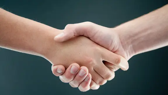 Zwei sich schüttelnde Hände
