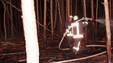 Feuerwehrleute löschen in einem Wald Glutnester.