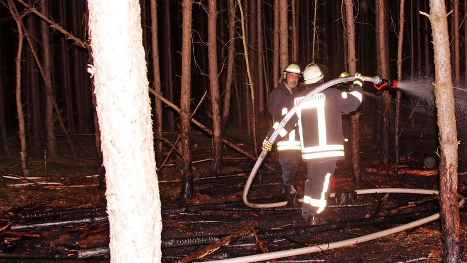 Die Feuerwehrleute konnten verhindern, dass sich der Brand auf ein Waldstück ausbreitet. Feuerwehrleute löschen in einem Wald Glutnester.