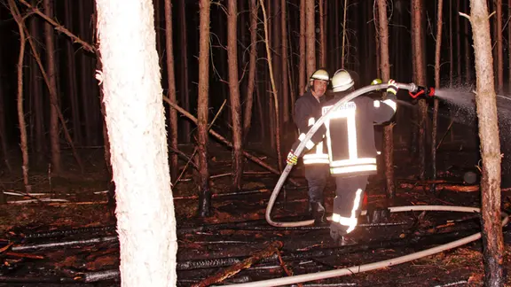 Feuerwehrleute löschen in einem Wald Glutnester.