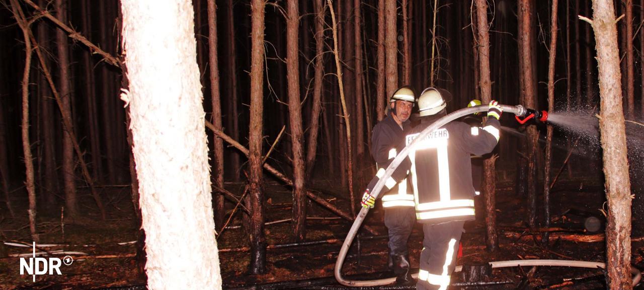Feuerwehrleute löschen in einem Wald Glutnester. Feuerwehrleute löschen in einem Wald Glutnester.