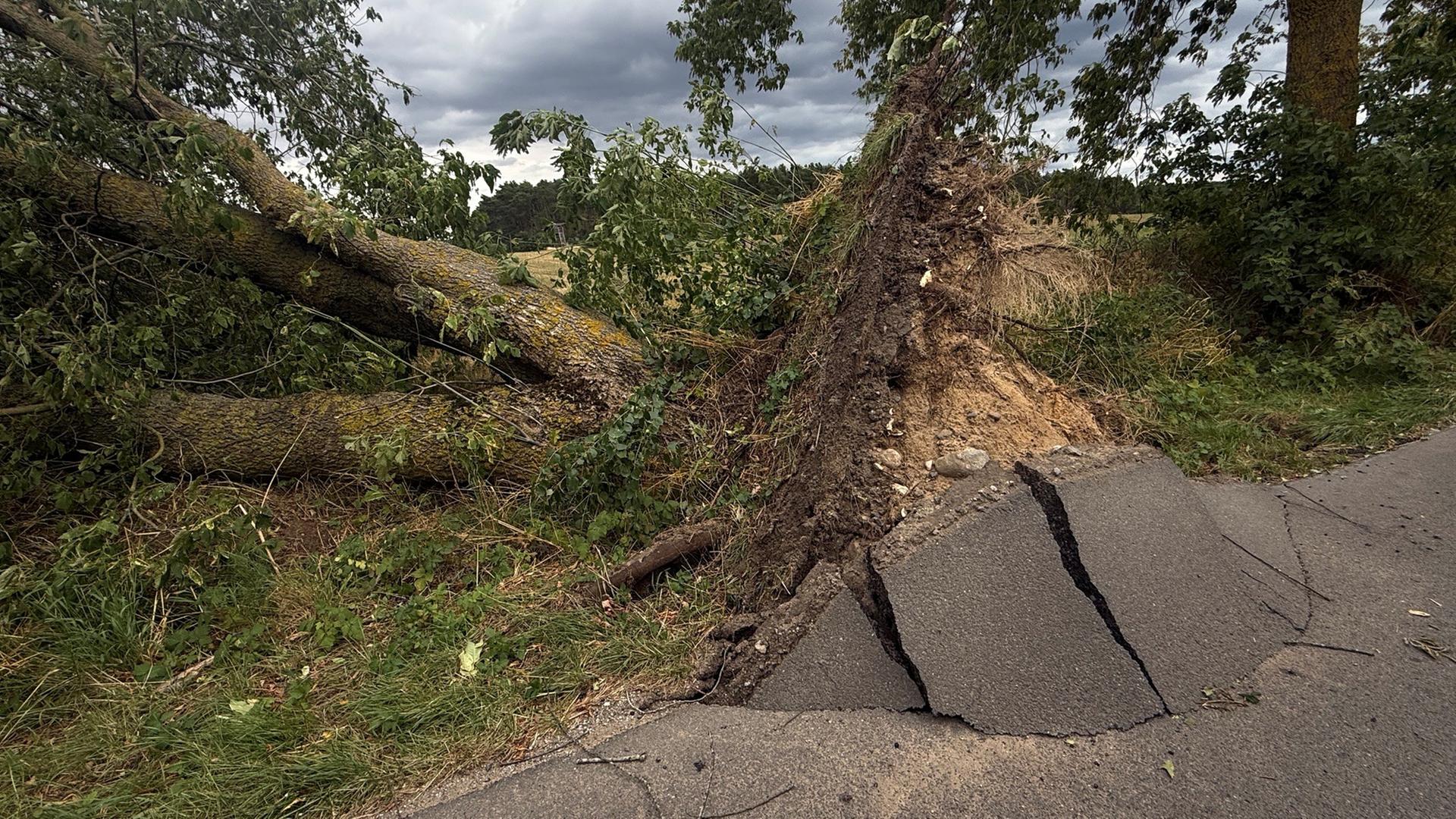 Nach Sturm: Aufräumarbeiten könnten noch Wochen dauern