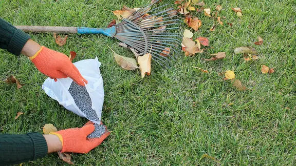 Rasen im Herbst dngen: Nhrstoffe fr die kalte Jahreszeit | ndr.de