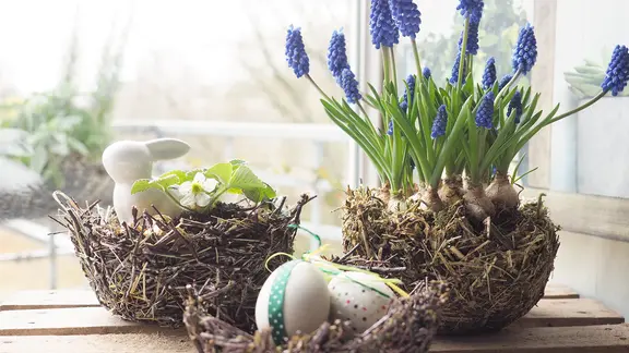 Drei Osterkörbchen aus Zweigen, Moos und Stroh mit Hase, Frühblühern und Ostereier stehen auf einem Tisch.