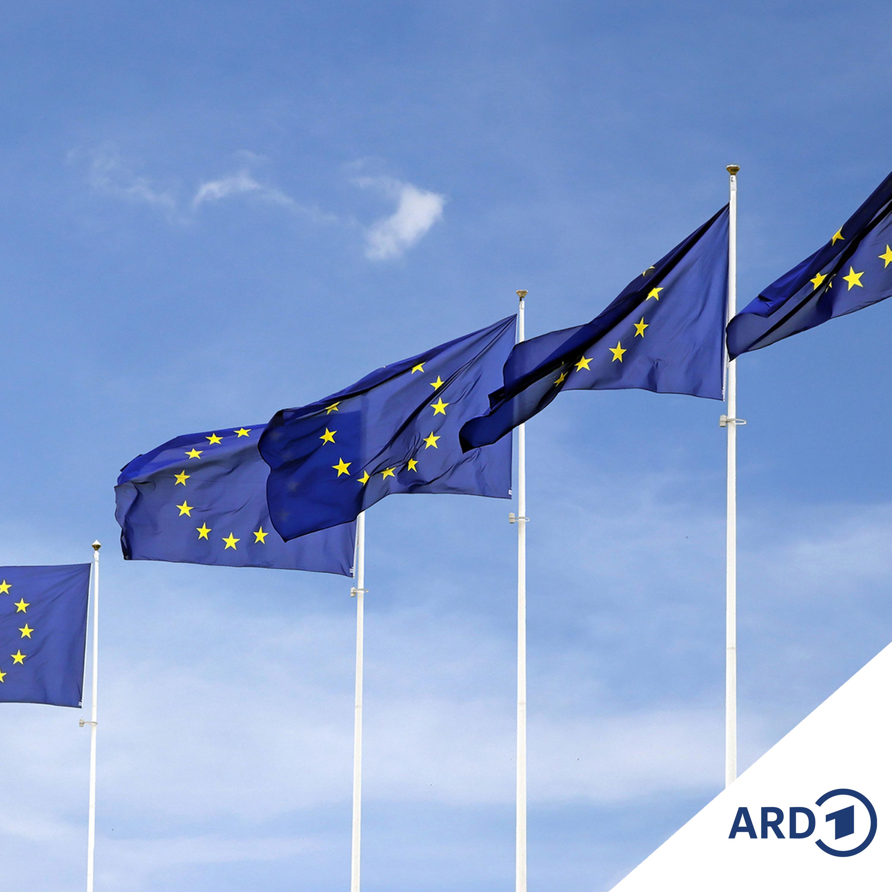 Trump will hohe Zölle für EU-Güter – was macht Brüssel?