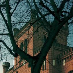 Das Innenministerium in Schwerin durch die Zweige eines Baumes gesehen.