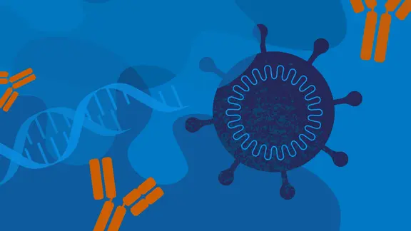 Illustration eines Viruspartikels, DNA-Strangs und Antikörpern in Blau- und Orangetönen, symbolisiert Immunreaktion und genetische Forschung.