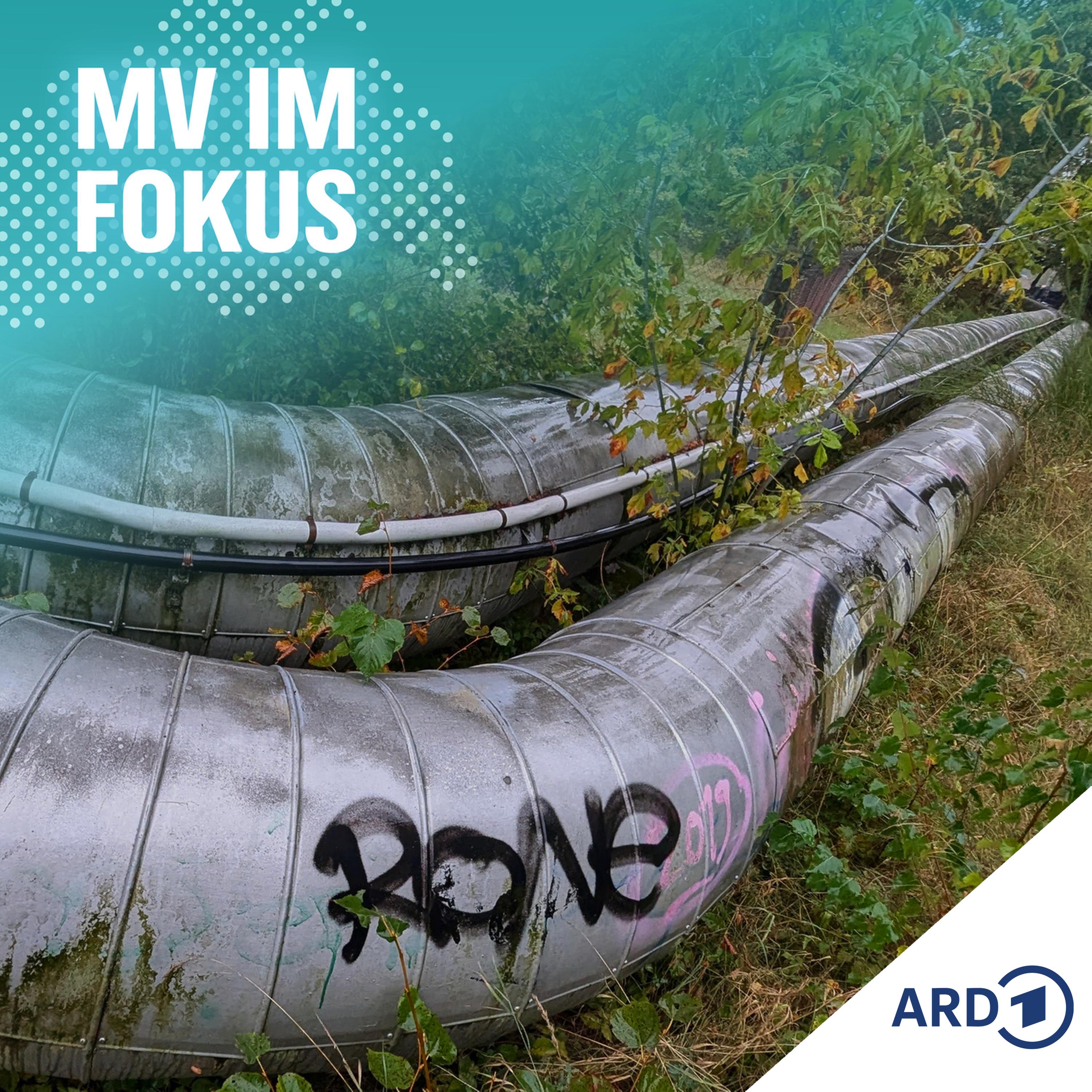 MV IM FOKUS - Darüber spricht Mecklenburg-Vorpommern!