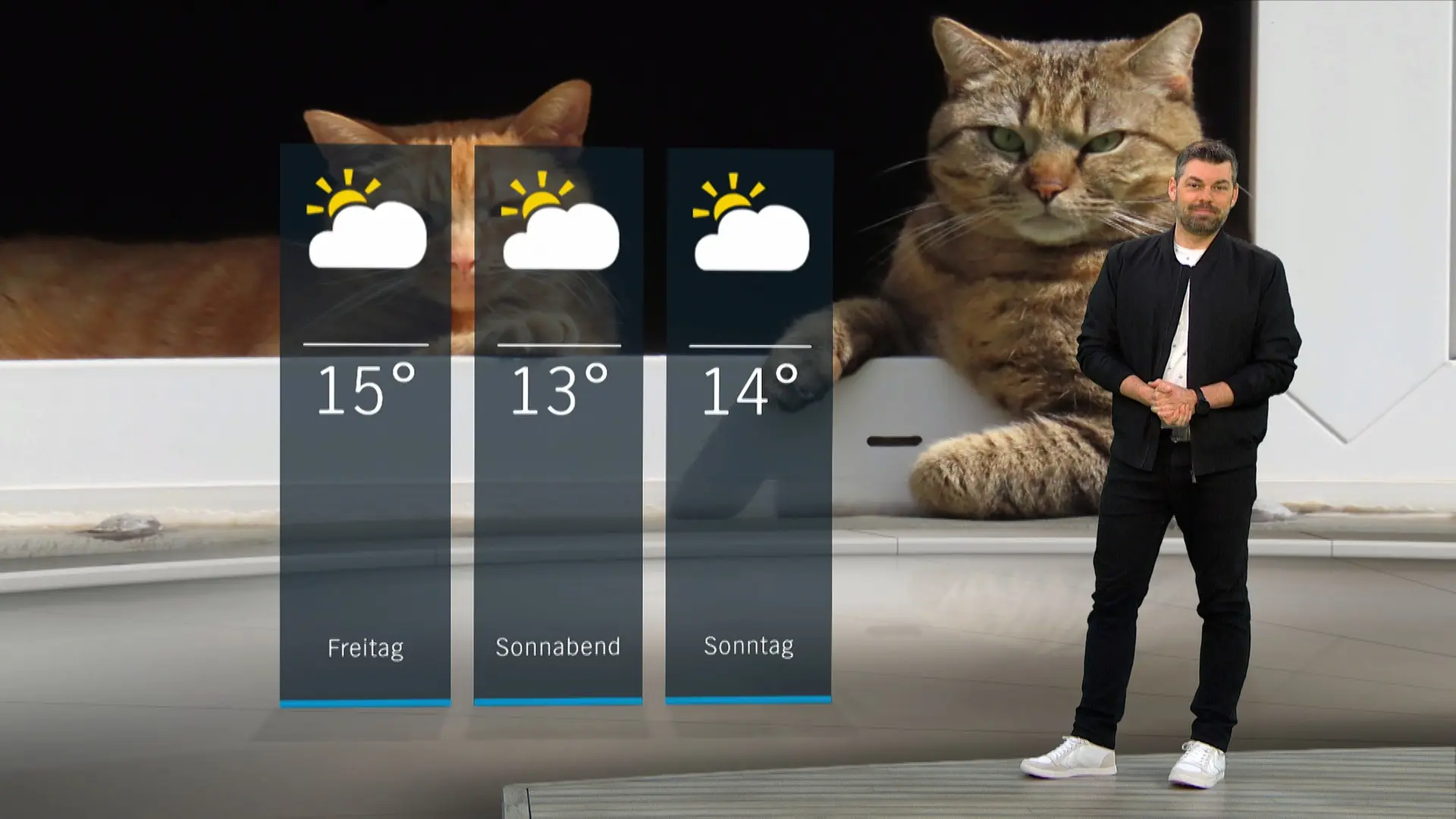 So wird das Wetter in Schleswig-Holstein