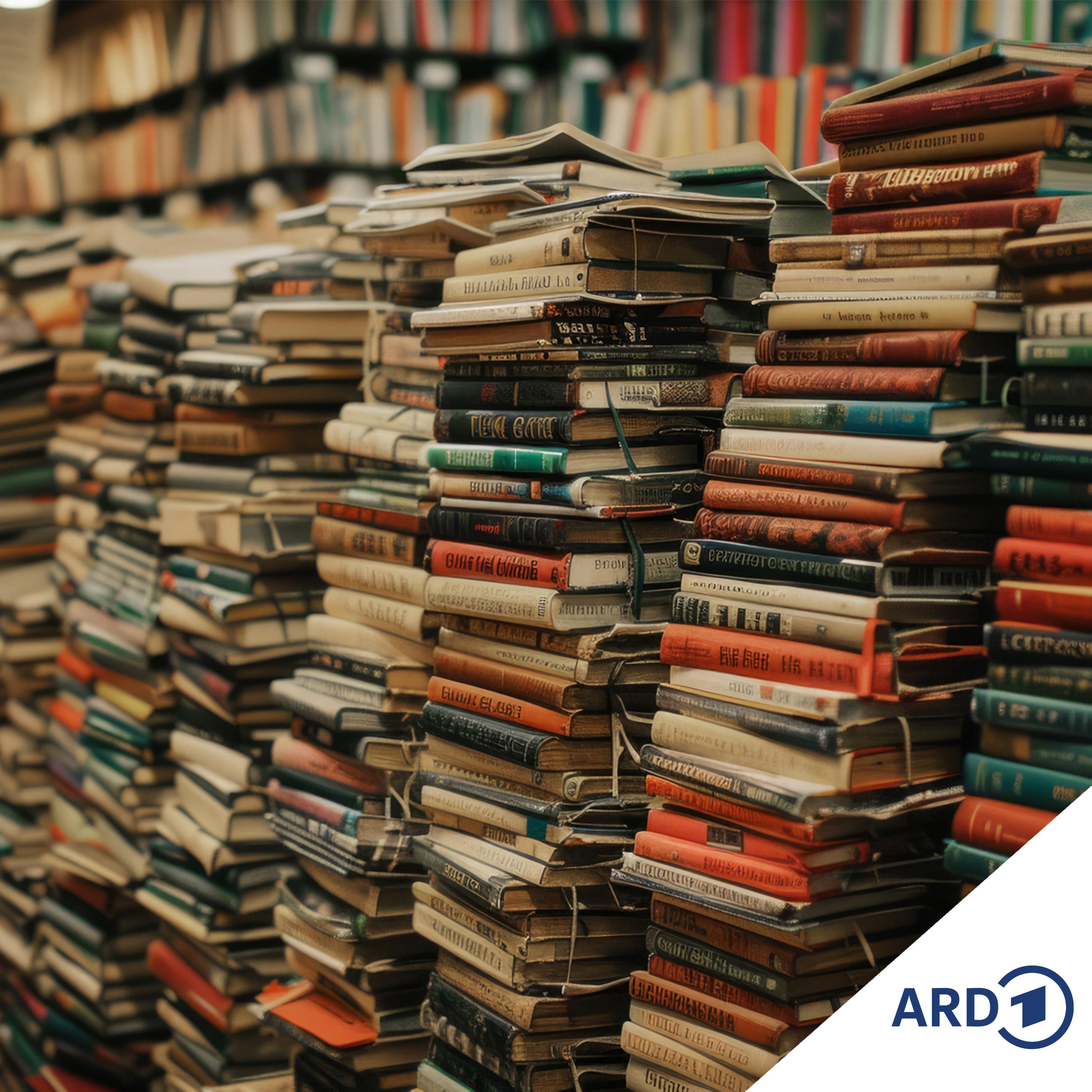 Wer braucht denn so was? Wie ein Buch entsteht