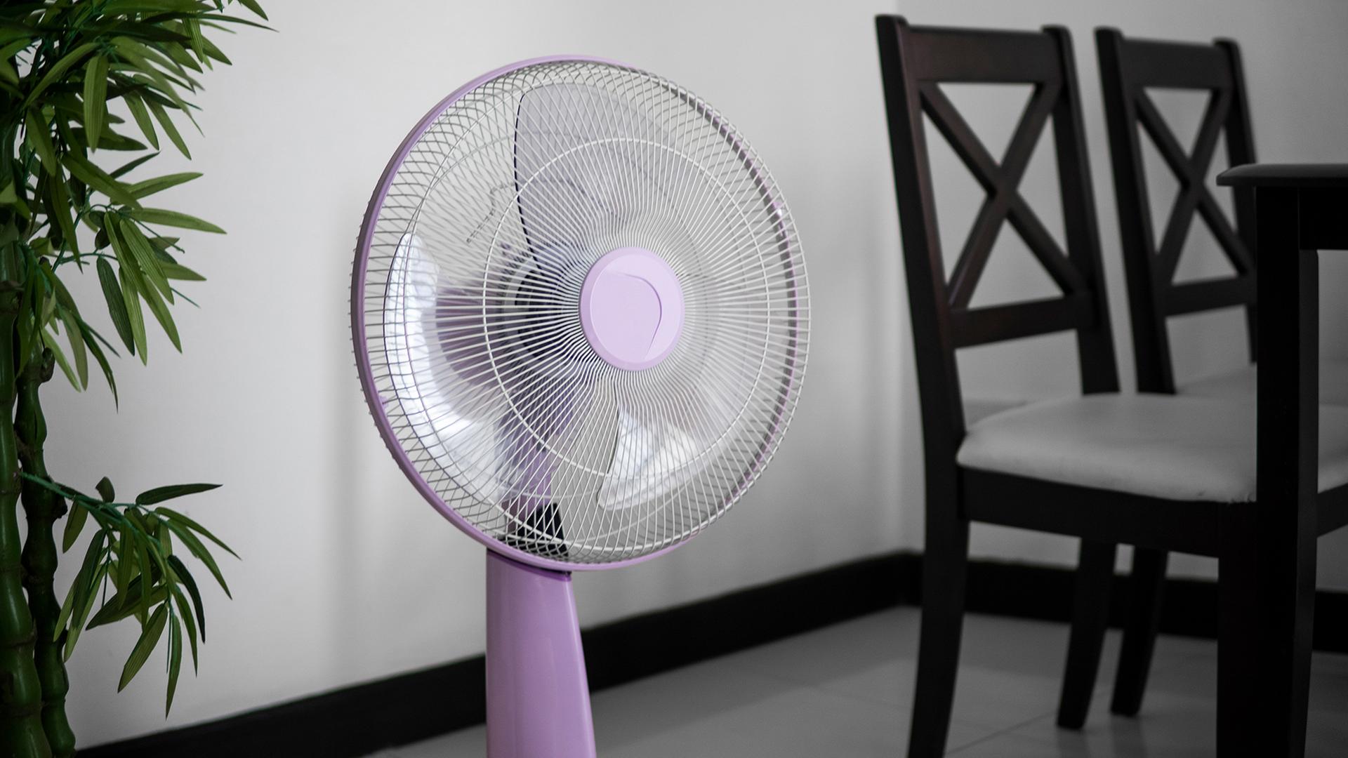 Ein Standventilator steht in einem Innenraum | colourbox, Volodymyr Shtun