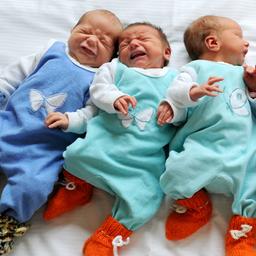 Fünf Babys liegen nebeneinander.