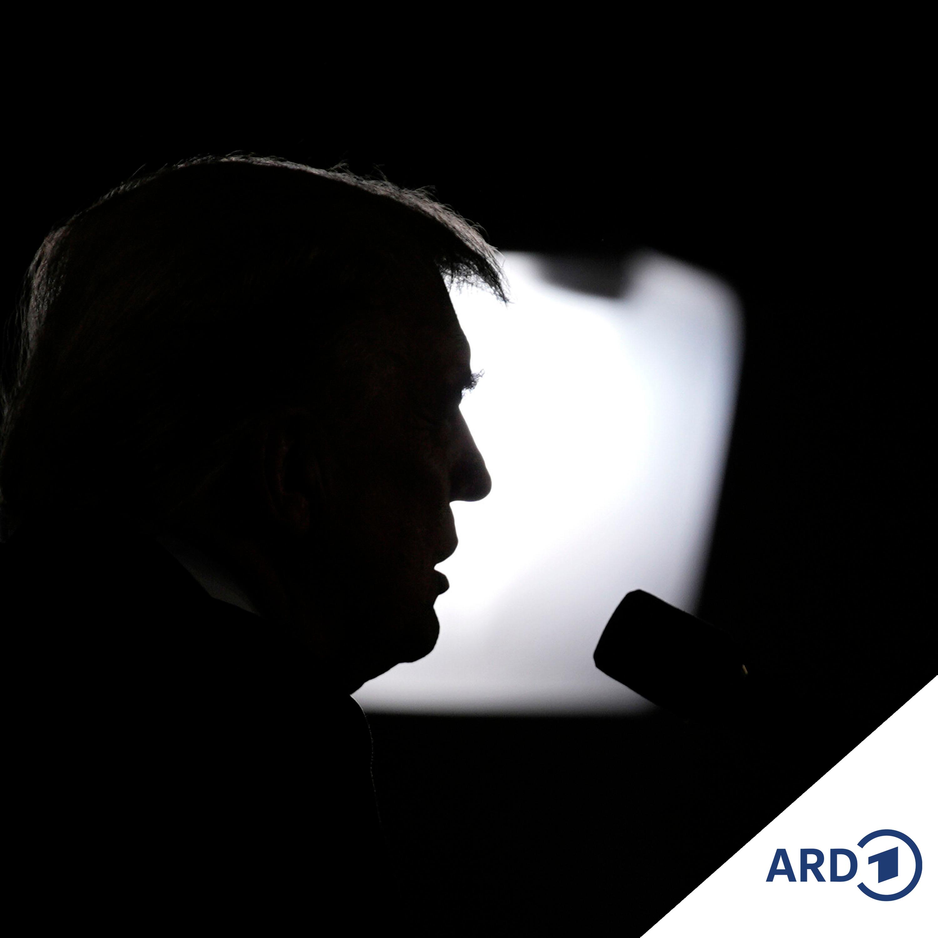 Zollpause: Was geht in Trumps Kopf vor?