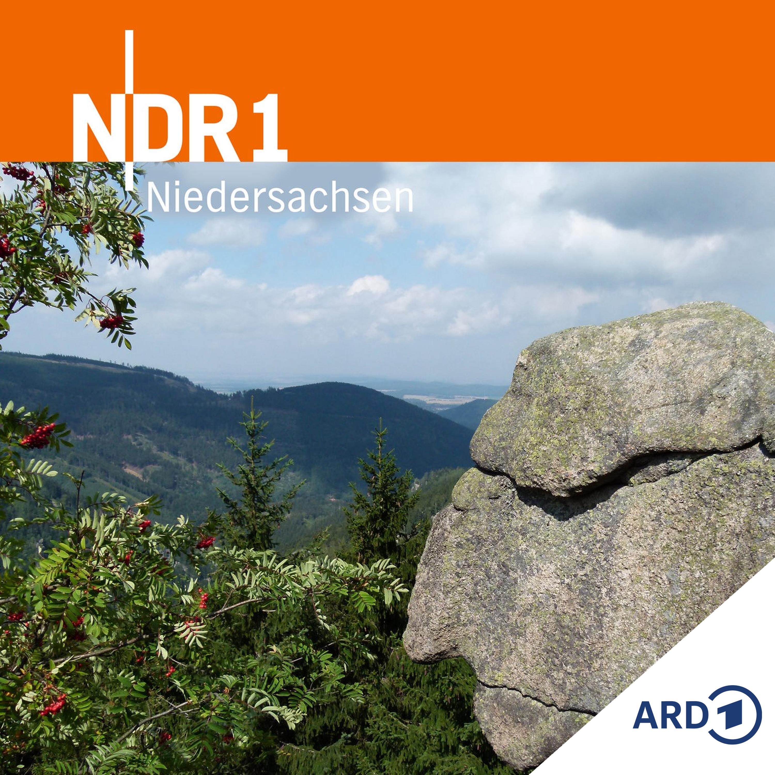 Lkw-Unfall auf der Autobahn 2 - Verursacher stirbt bei Auffahrunfall am Stauende