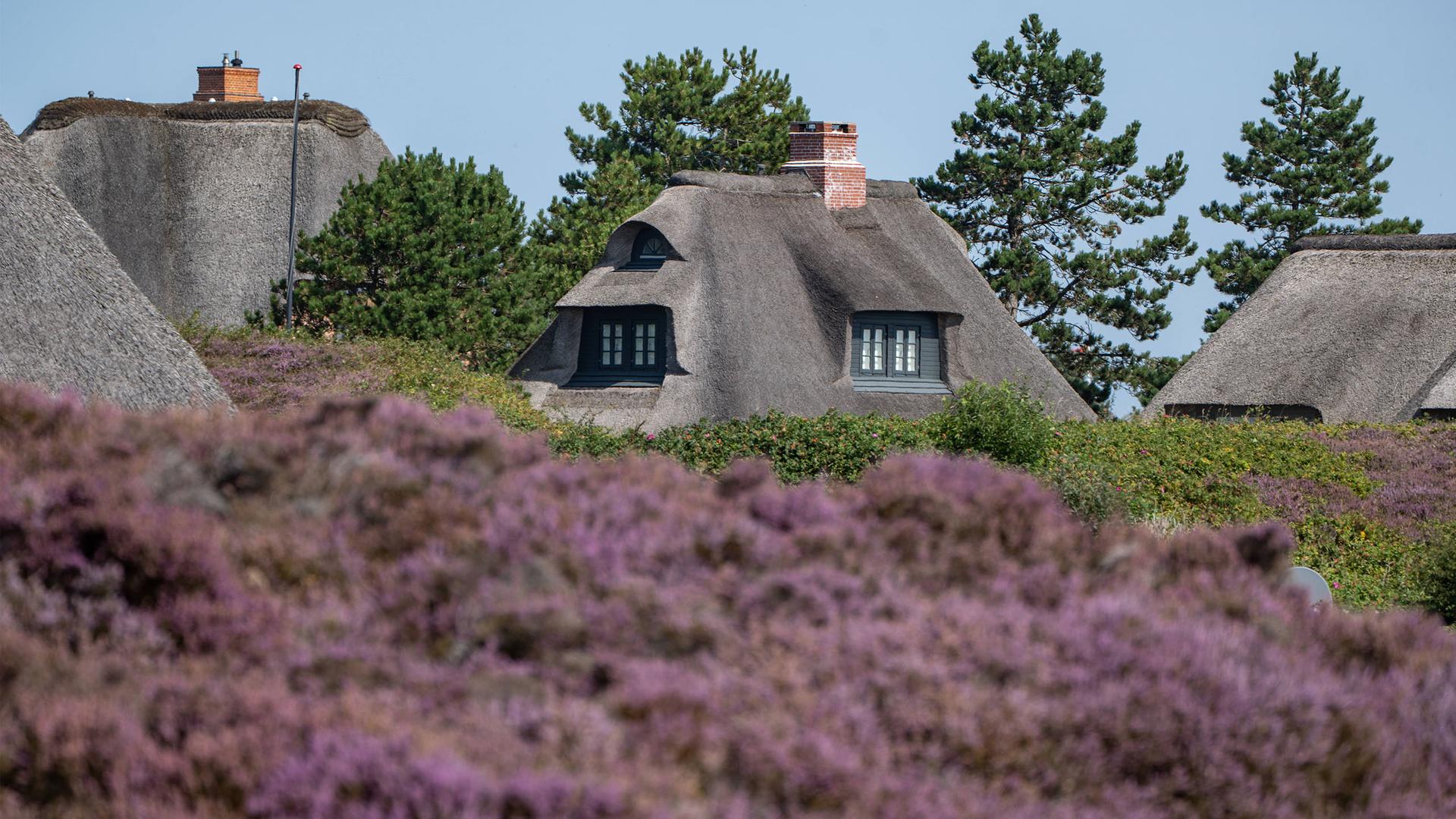 Immobilien auf Sylt: Warum die Preise aktuell sinken