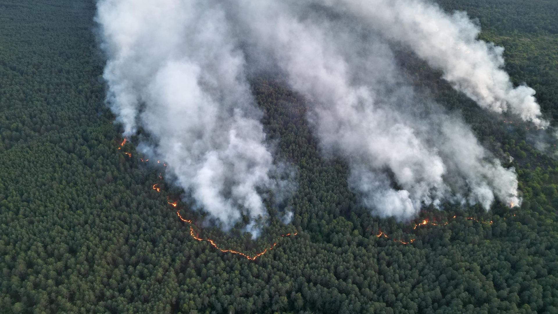 Waldbrand im Müritz-Nationalpark hat sich ausgedehnt